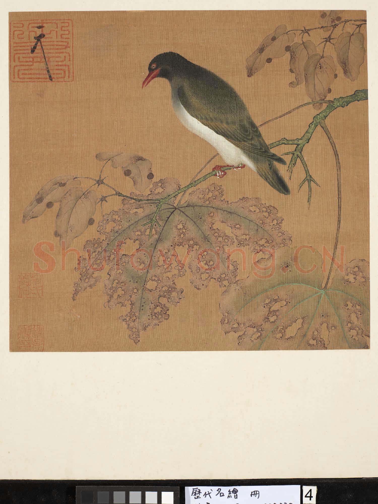 歷代名繪.冊.無款花鳥故畫