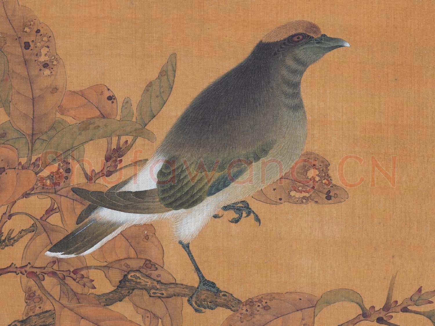 歷代名繪.冊.宋趙昌花鳥故畫