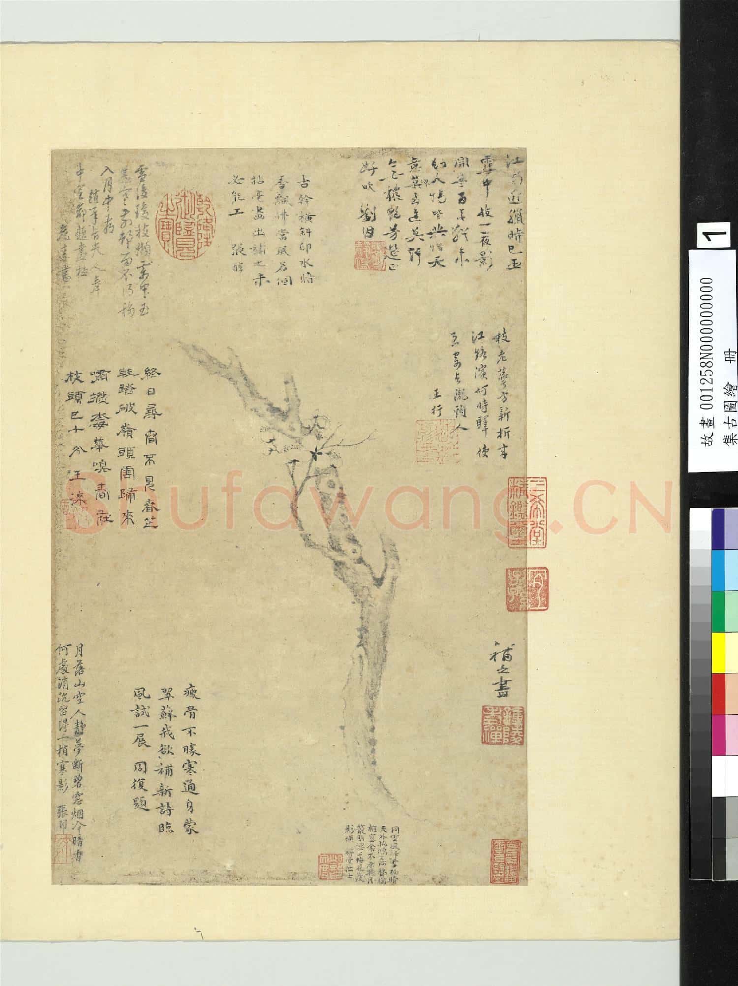 集古圖繪.冊.宋揚无咎梅花故畫