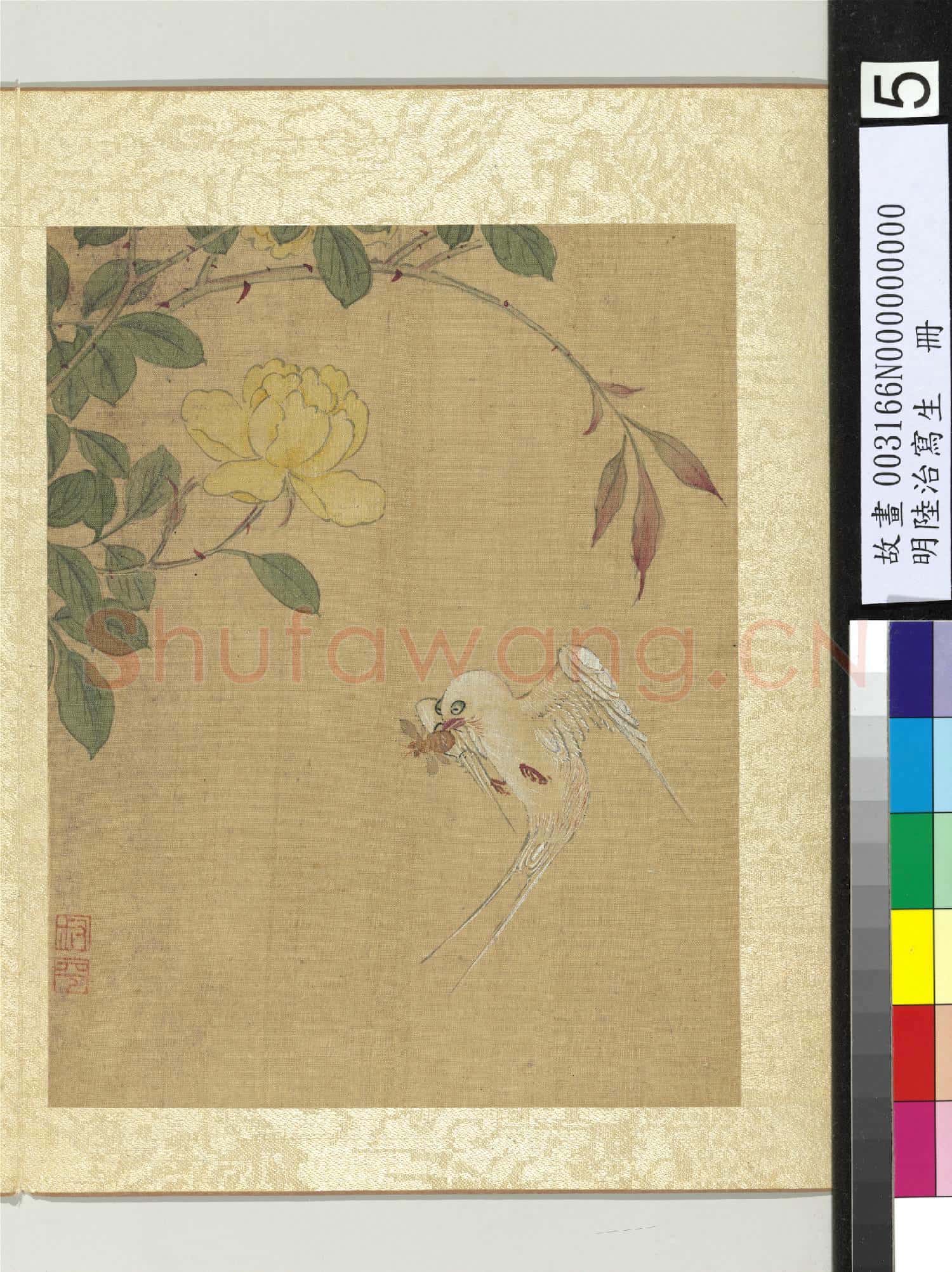明陸治寫生.冊.薔薇燕子故畫