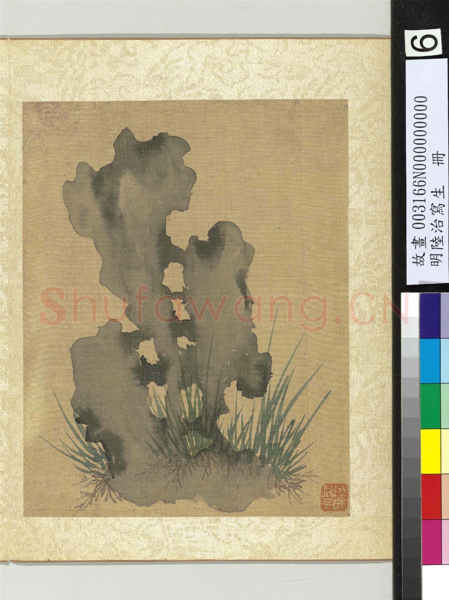 明陸治寫生.冊.奇石菖蒲故畫