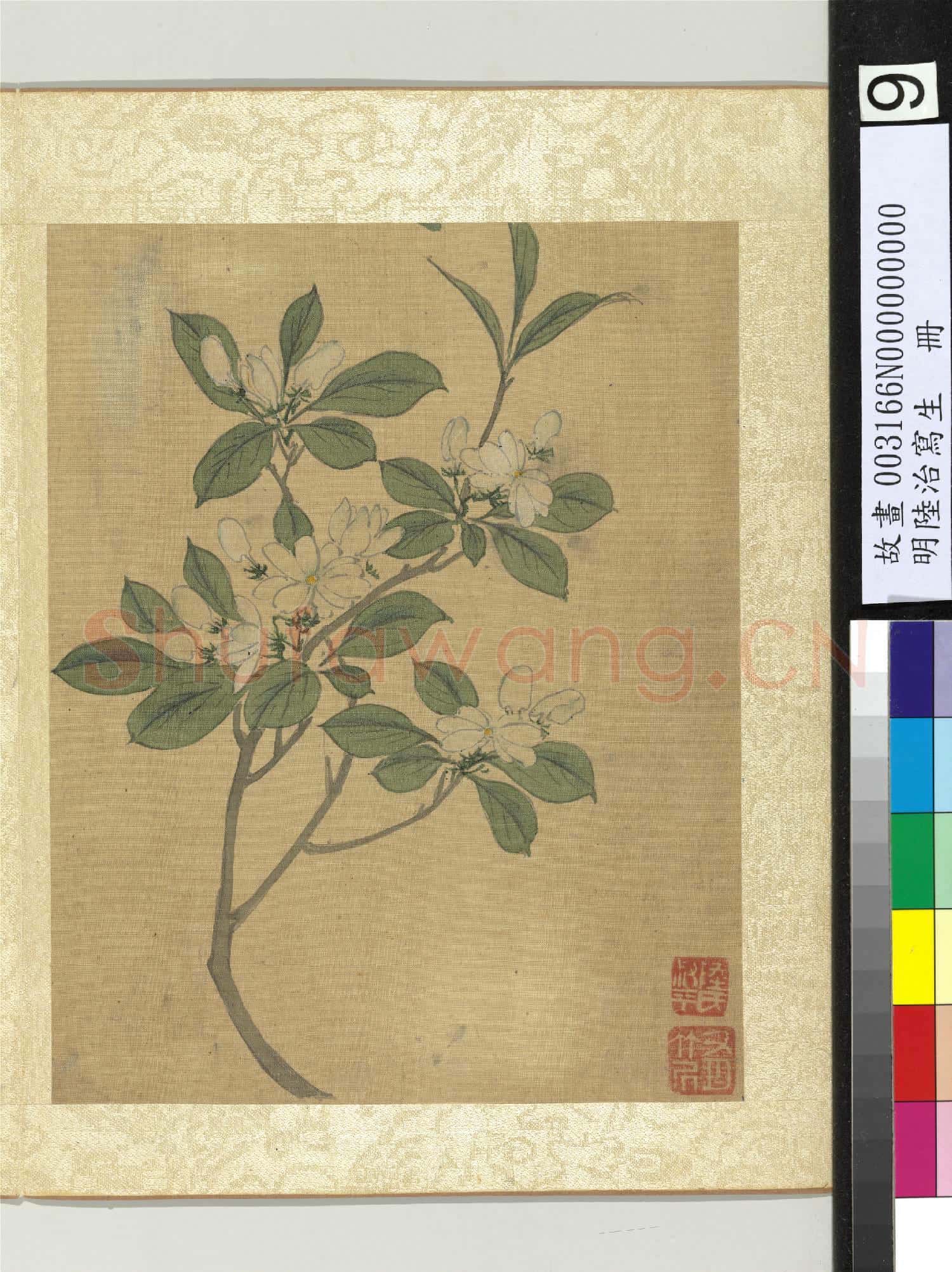 明陸治寫生.冊.花香蓊鬱故畫