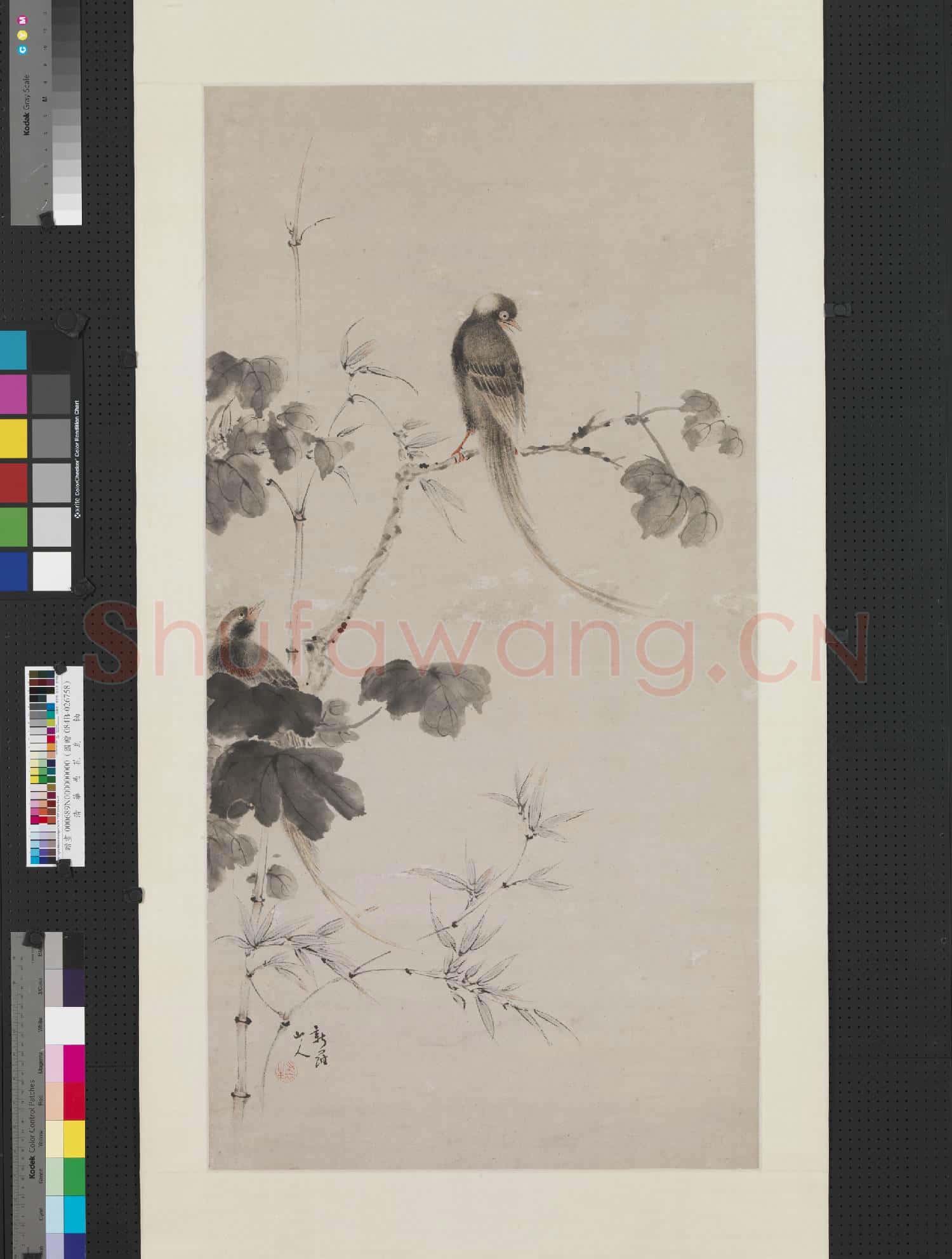 清.華嵒花鳥軸.贈畫