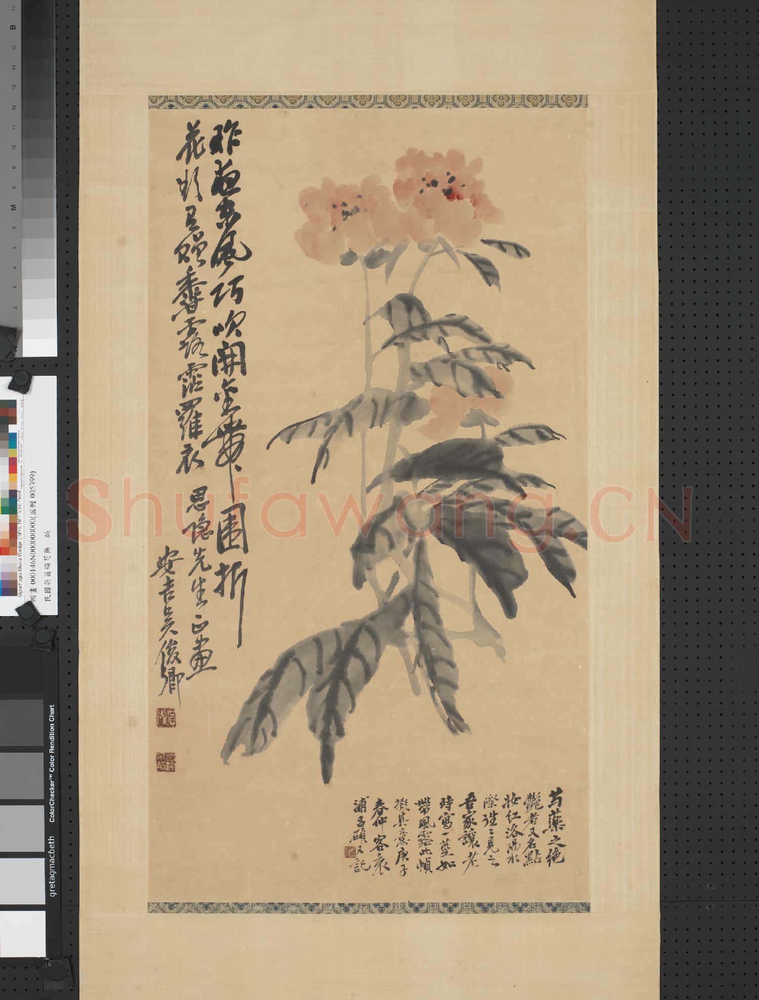 清.吳昌碩芍藥軸.贈畫