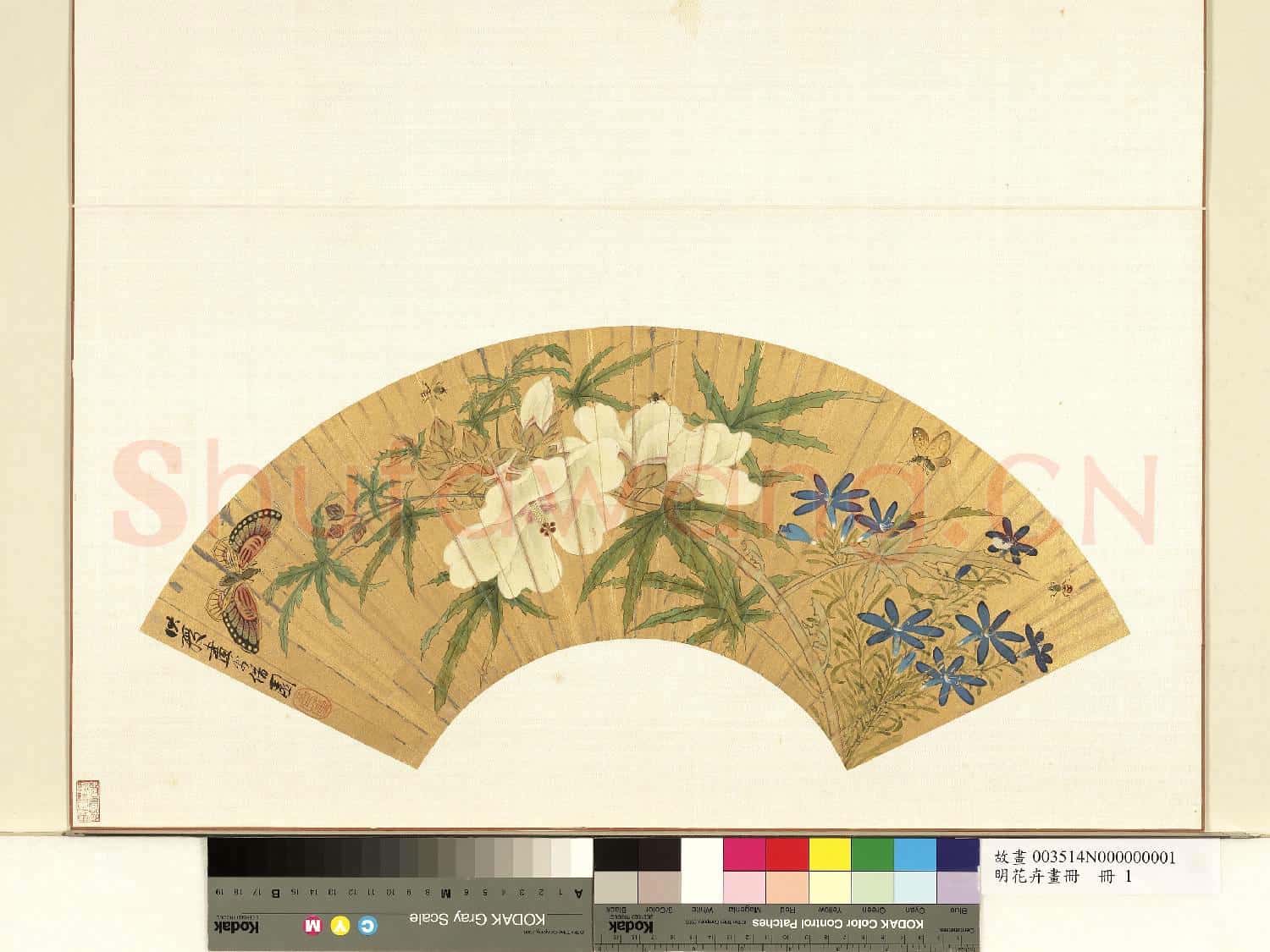 明花卉畫
