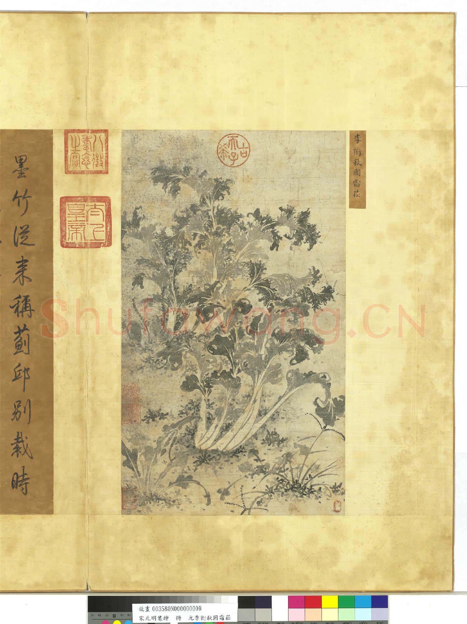 宋元明集繪.冊.元李衎秋圃霜菘故畫
