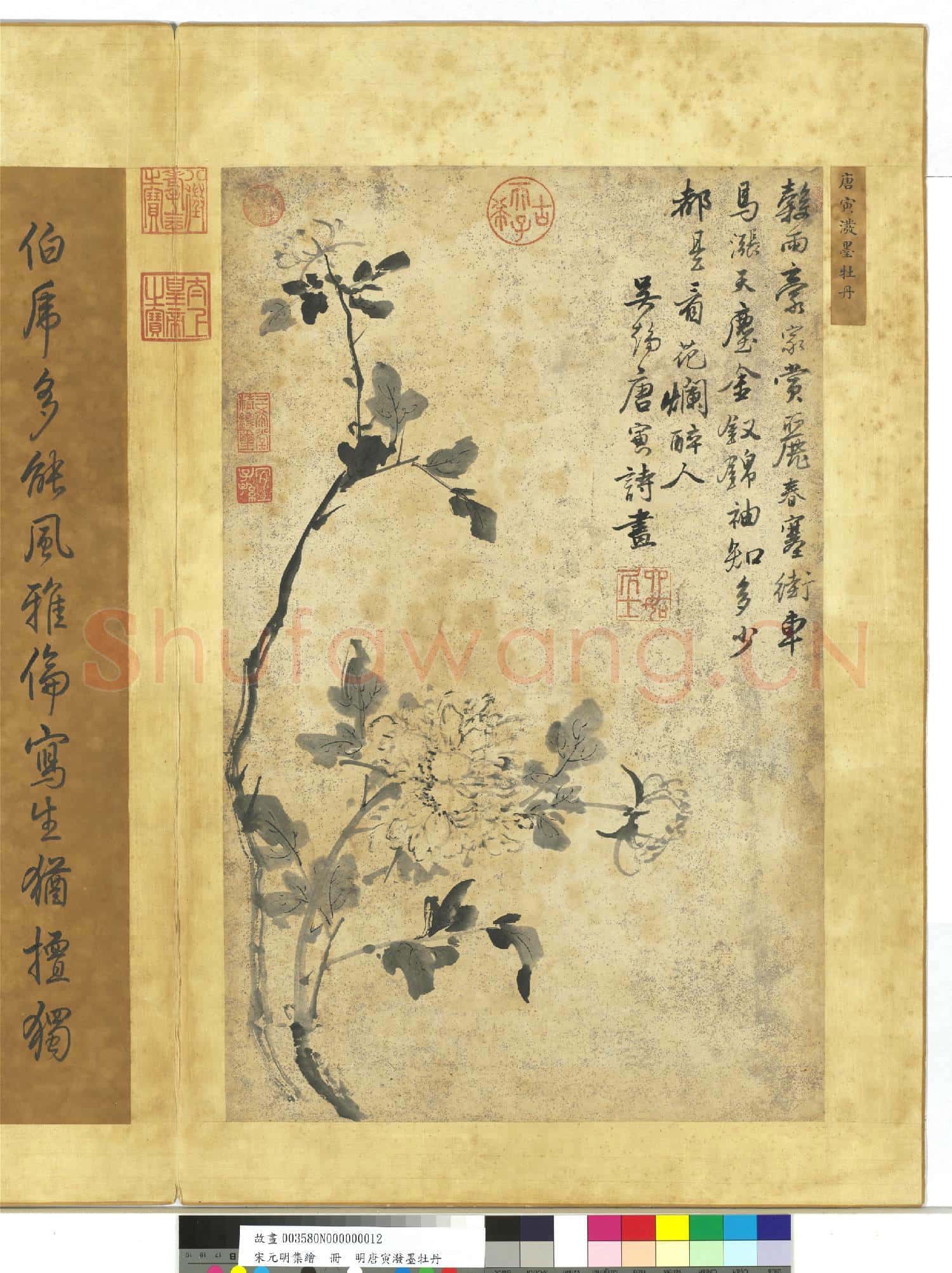 宋元明集繪.冊.明唐寅潑墨牡丹故畫