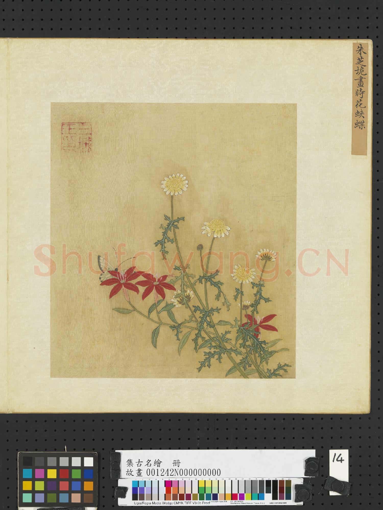 集古名繪.冊.明朱芝垝時花蛺蝶故畫