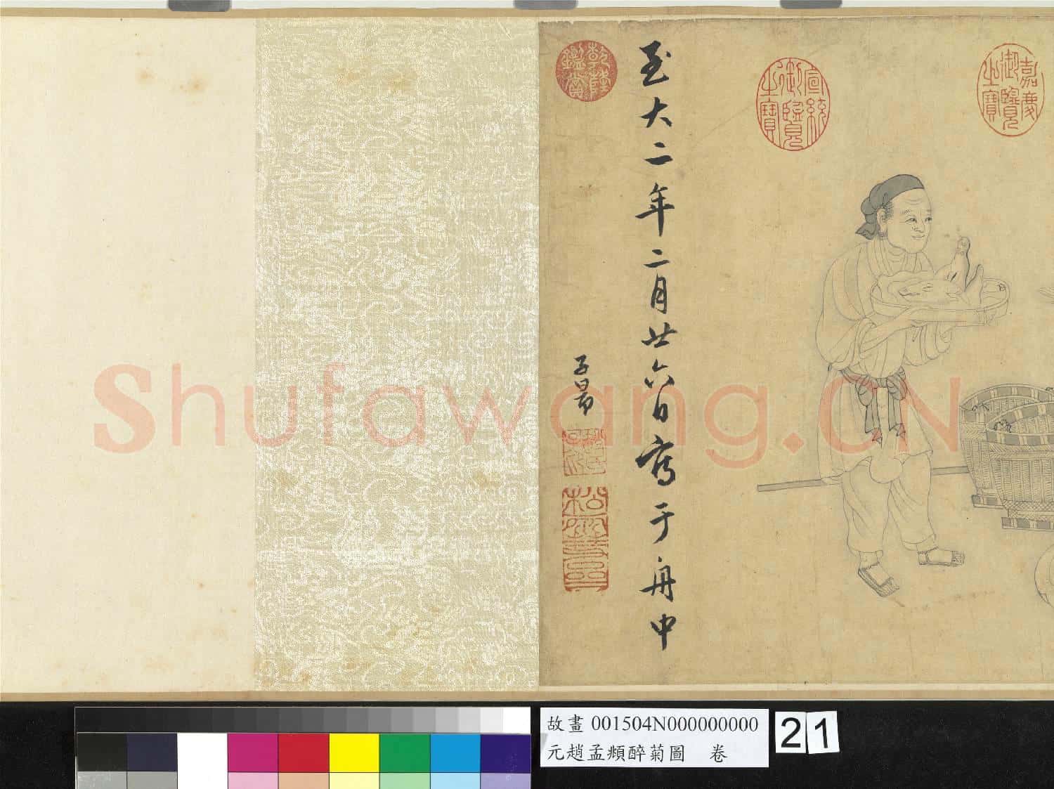 元趙孟頫醉菊圖.卷故畫