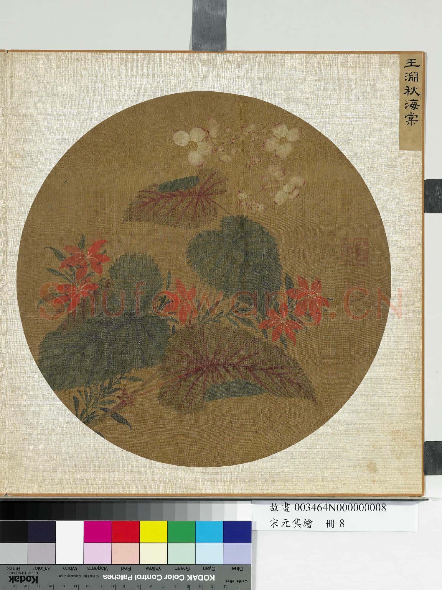 宋元集繪.冊.宋王淵秋海棠故畫