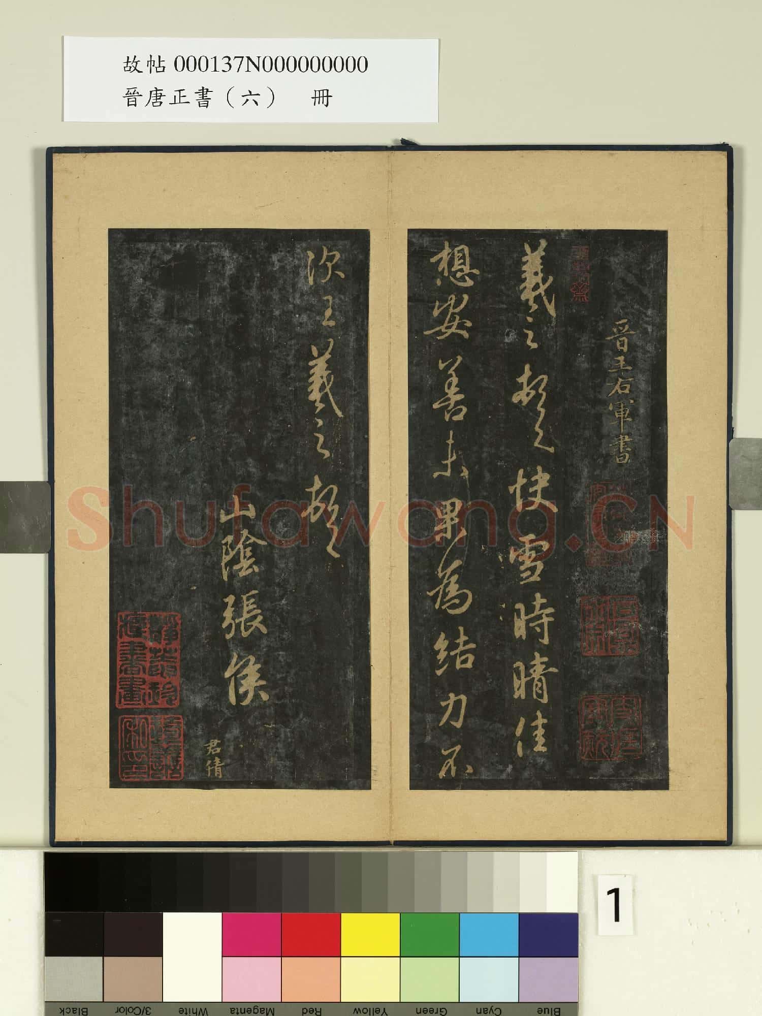 晉唐正書