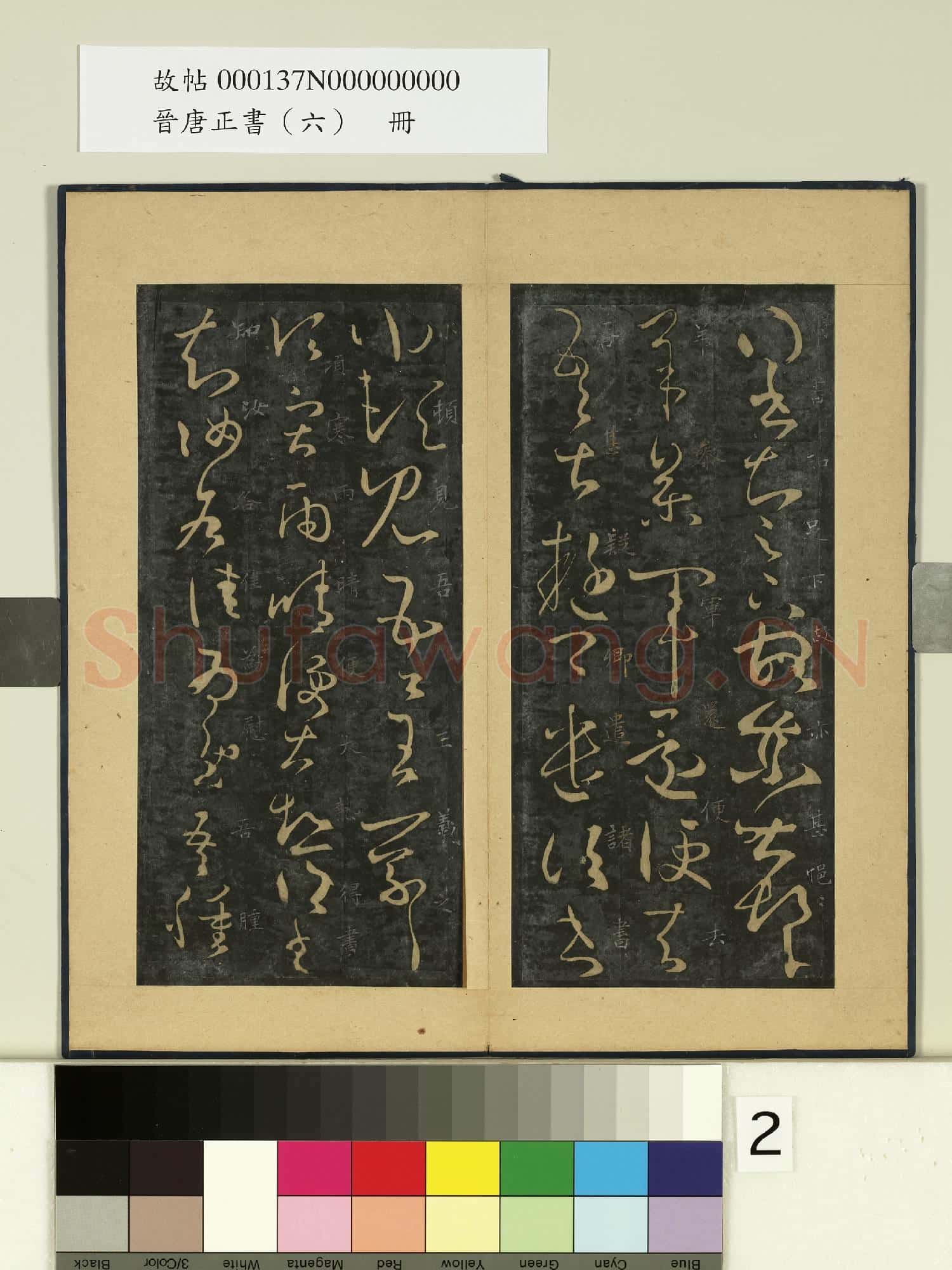 晉唐正書