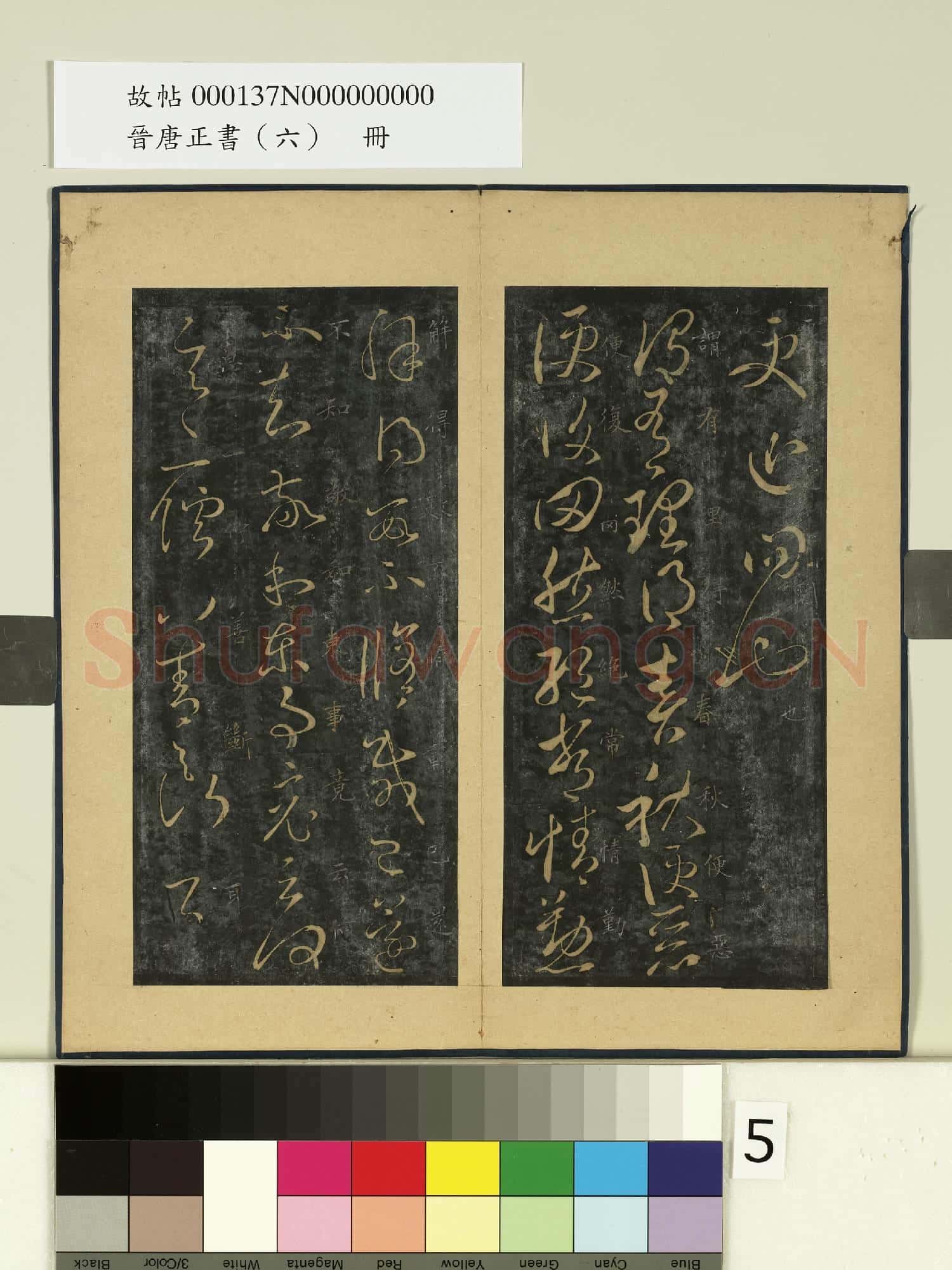 晉唐正書