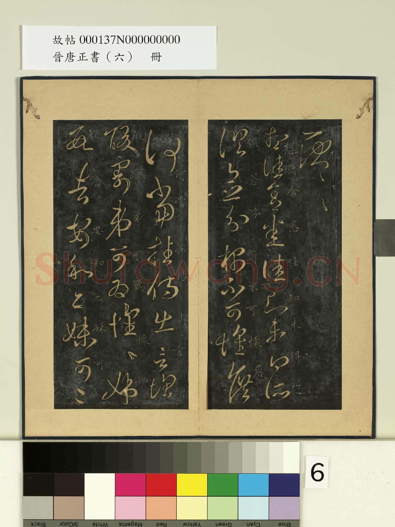 晉唐正書