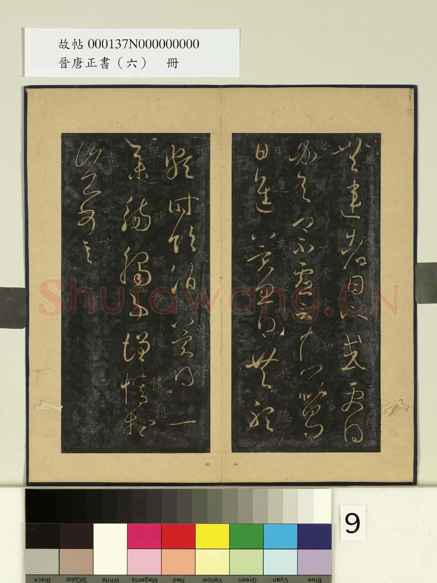 晉唐正書