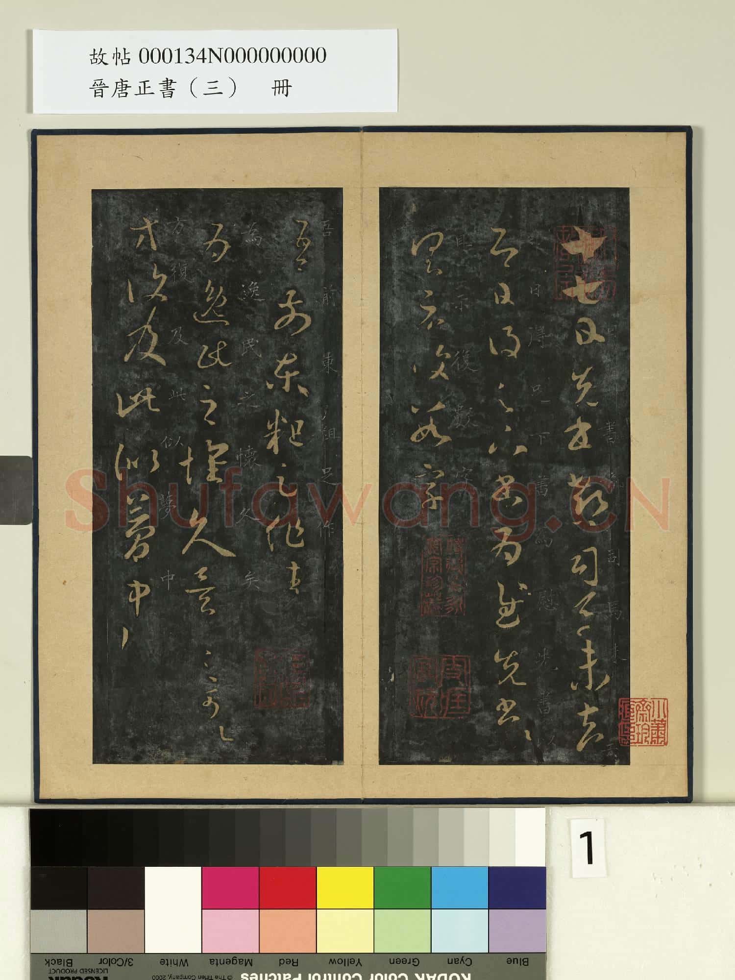 晉唐正書
