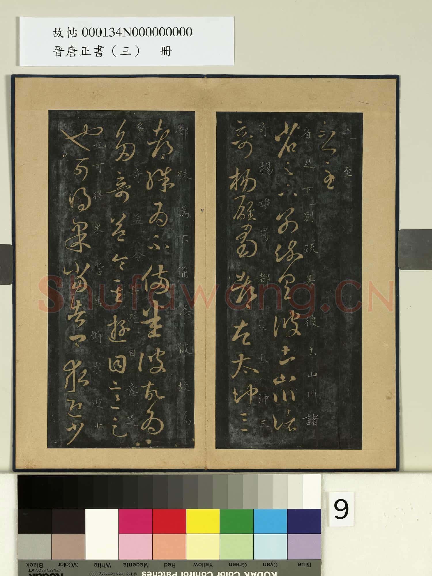 晉唐正書