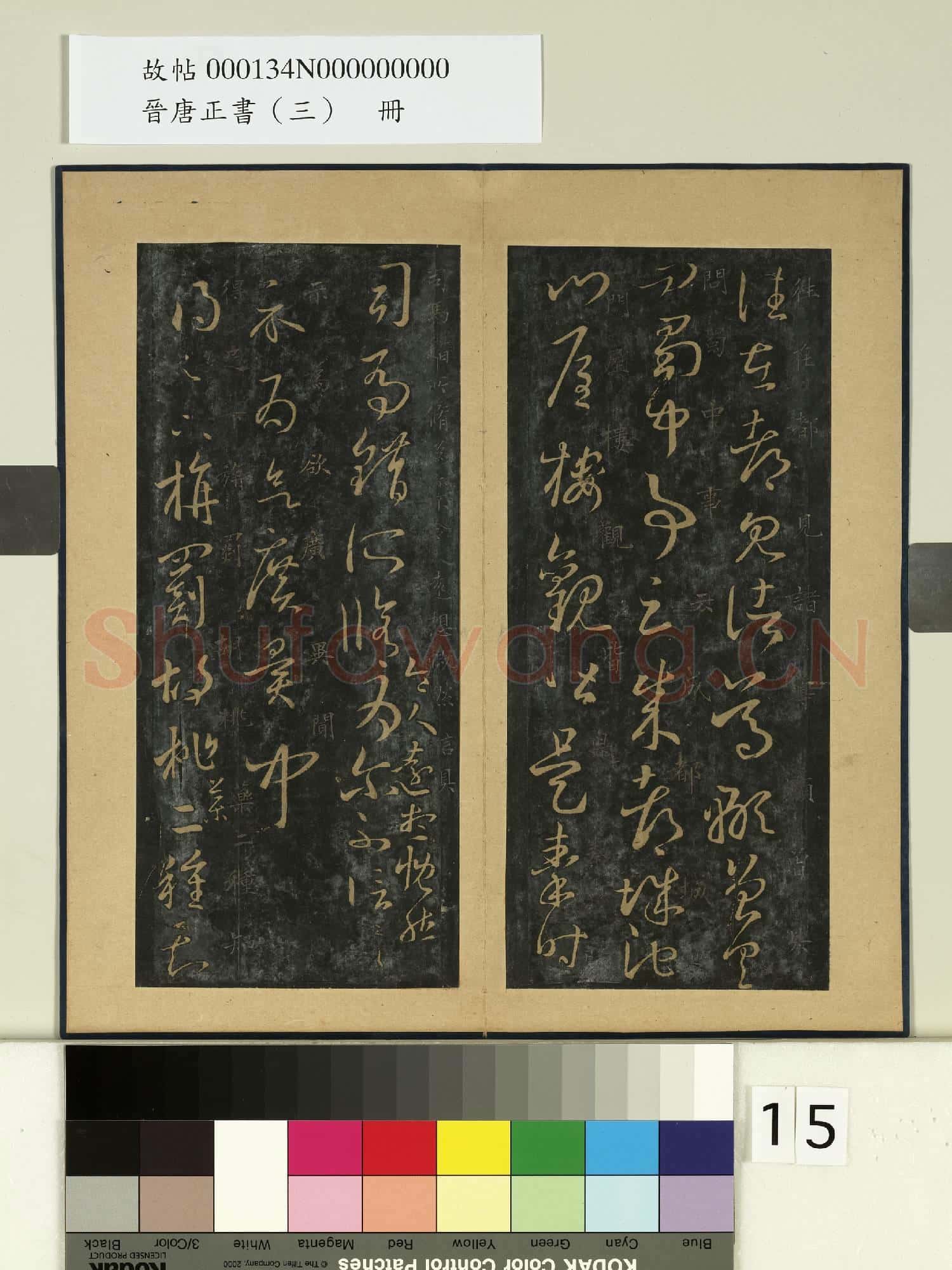 晉唐正書