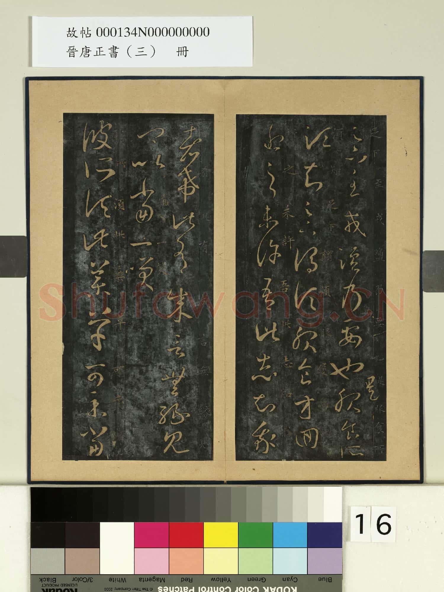 晉唐正書