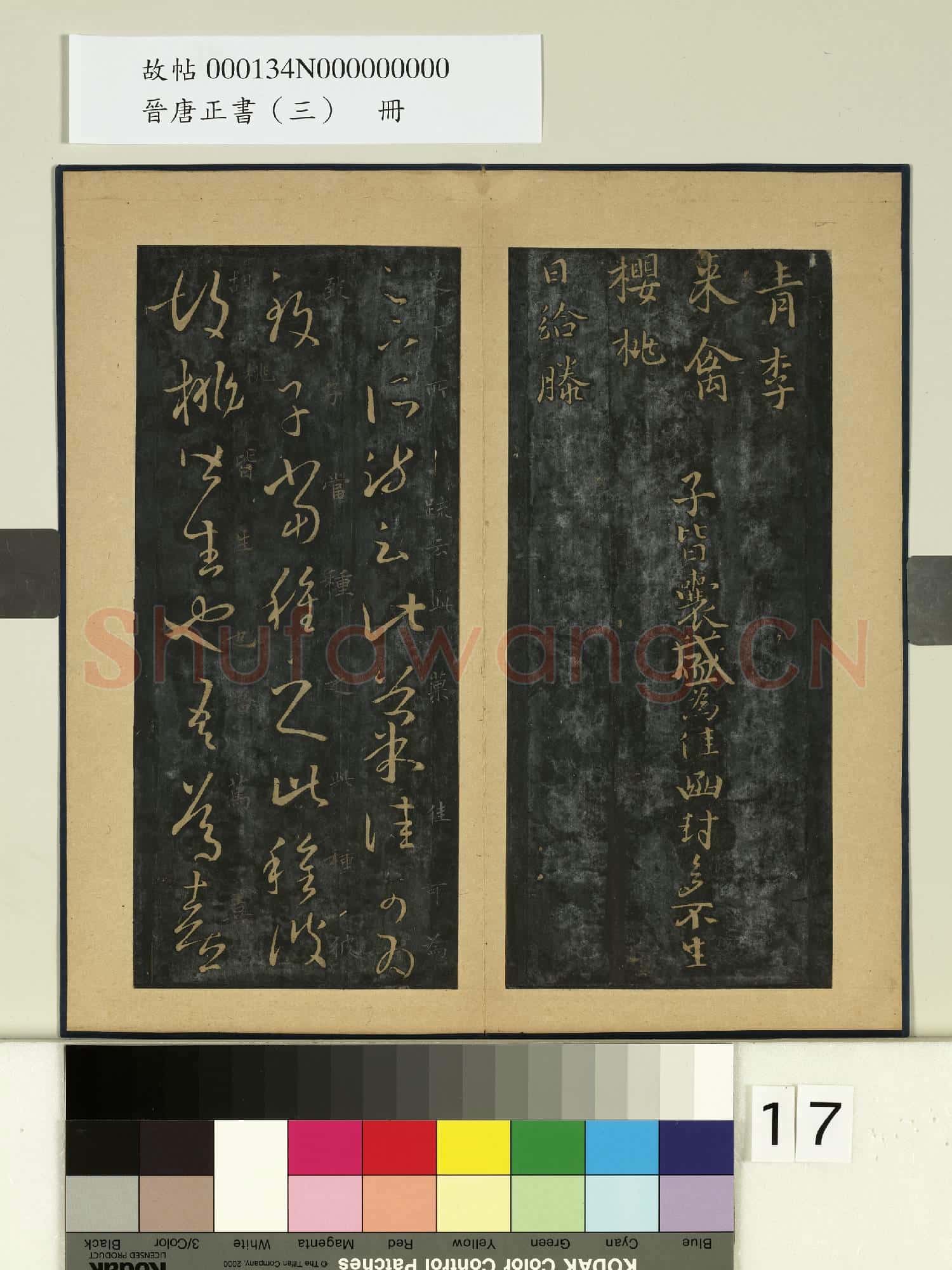 晉唐正書