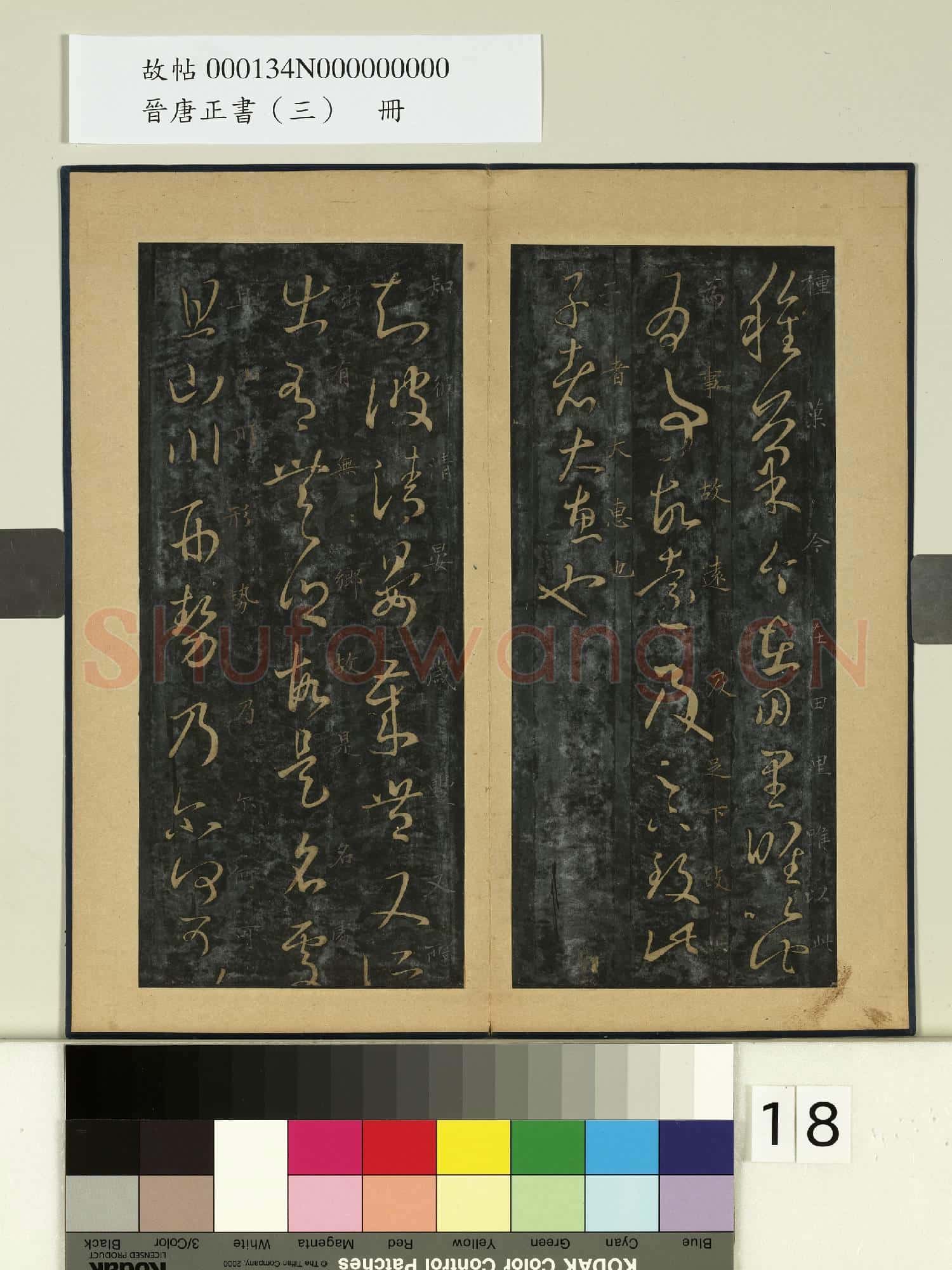 晉唐正書
