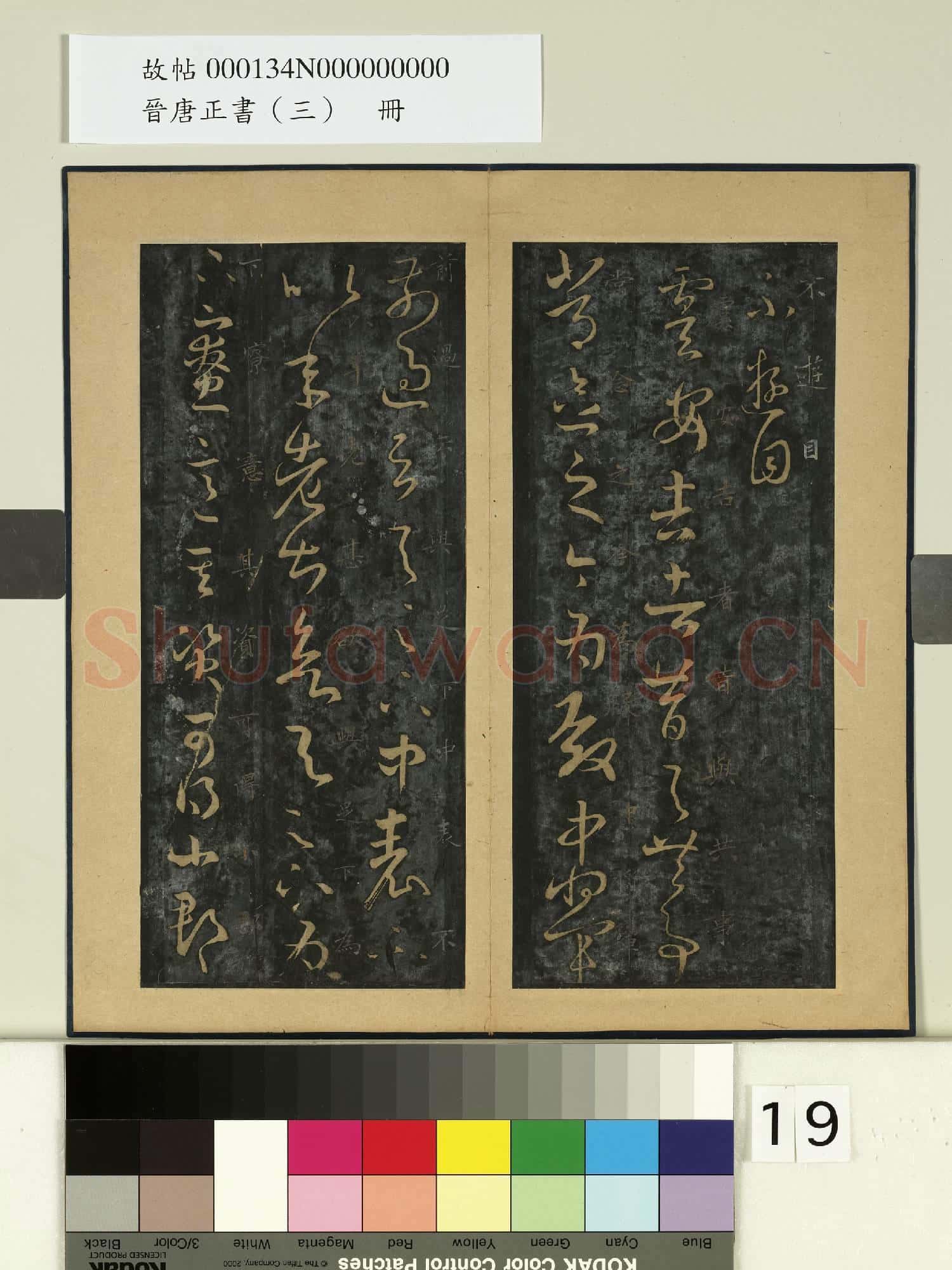 晉唐正書