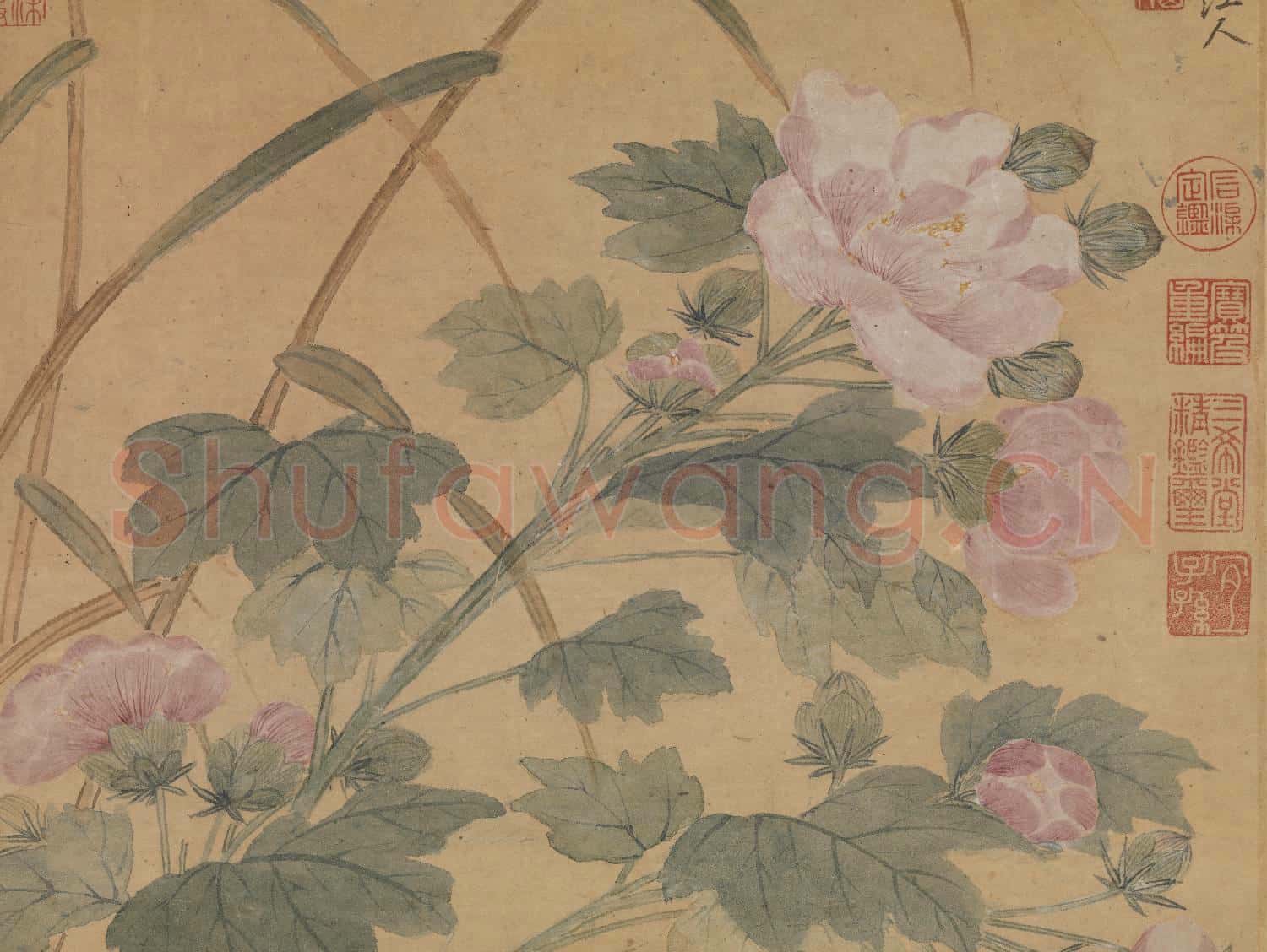 清顧瑛芙蓉雙鴛圖.軸故畫