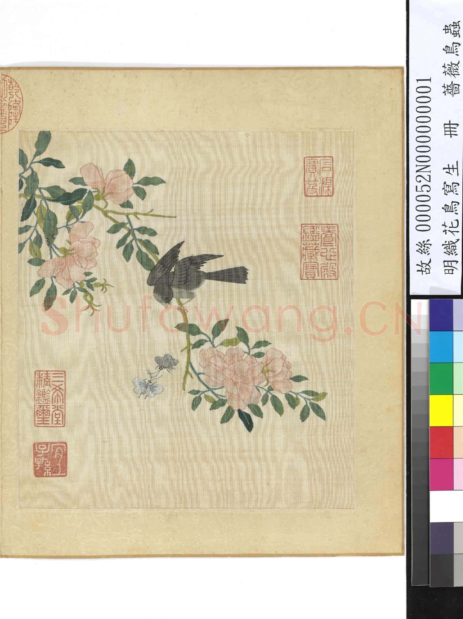 明織花鳥寫生.冊.薔薇鳥蟲故絲