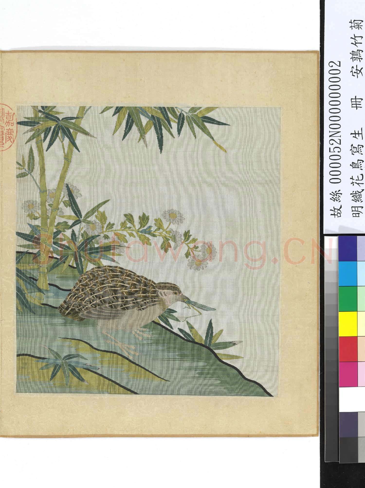 明織花鳥寫生.冊.鵪鶉竹菊故絲