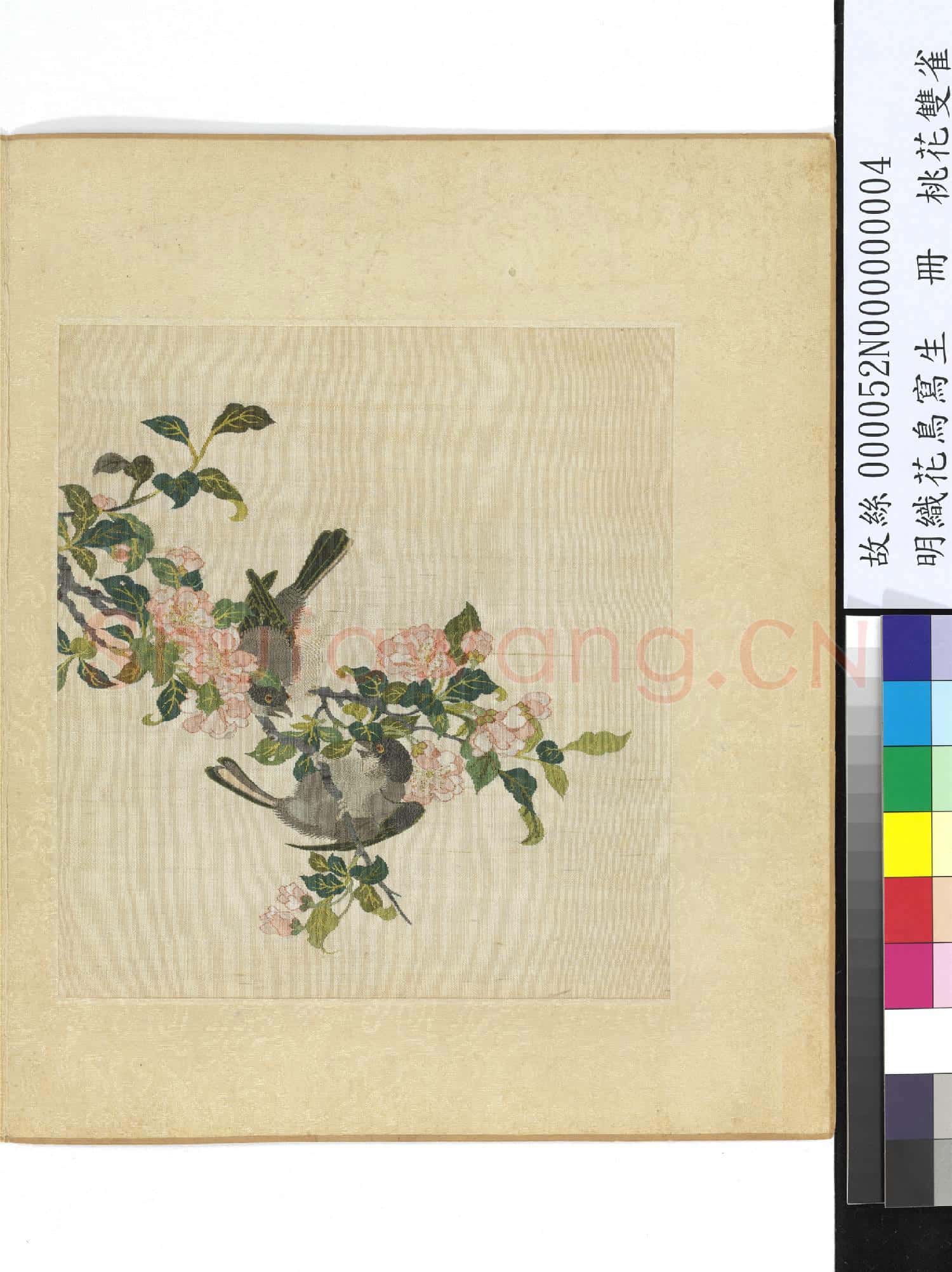 明織花鳥寫生.冊.桃花雙雀故絲