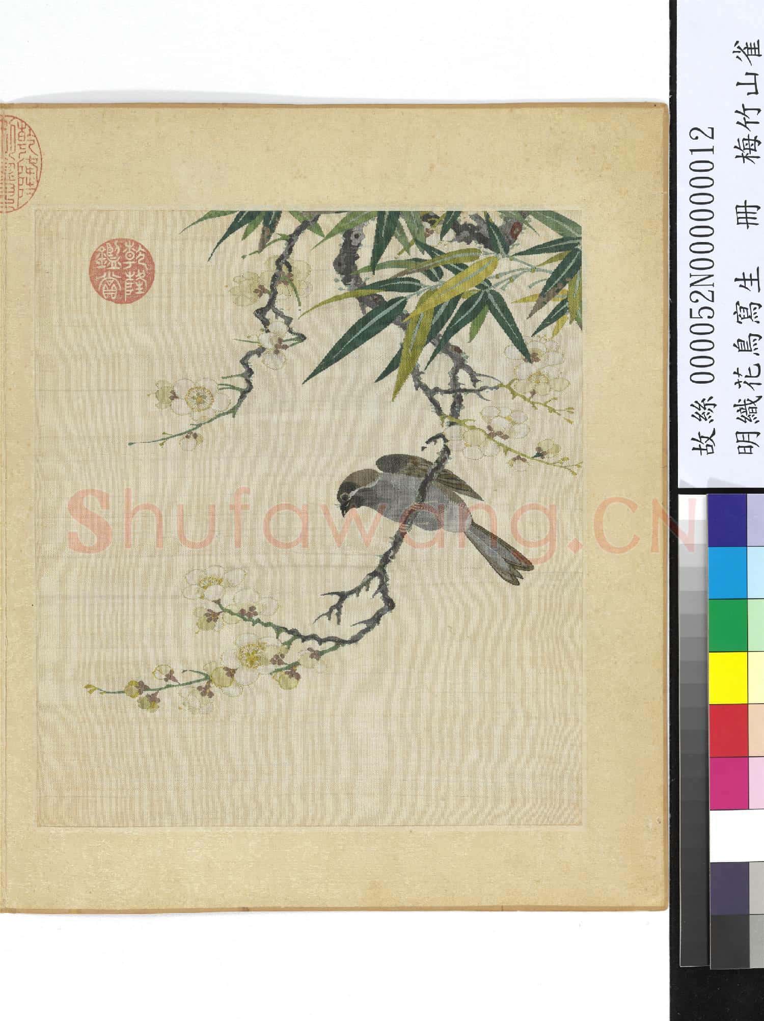 明織花鳥寫生.冊.梅竹山雀故絲