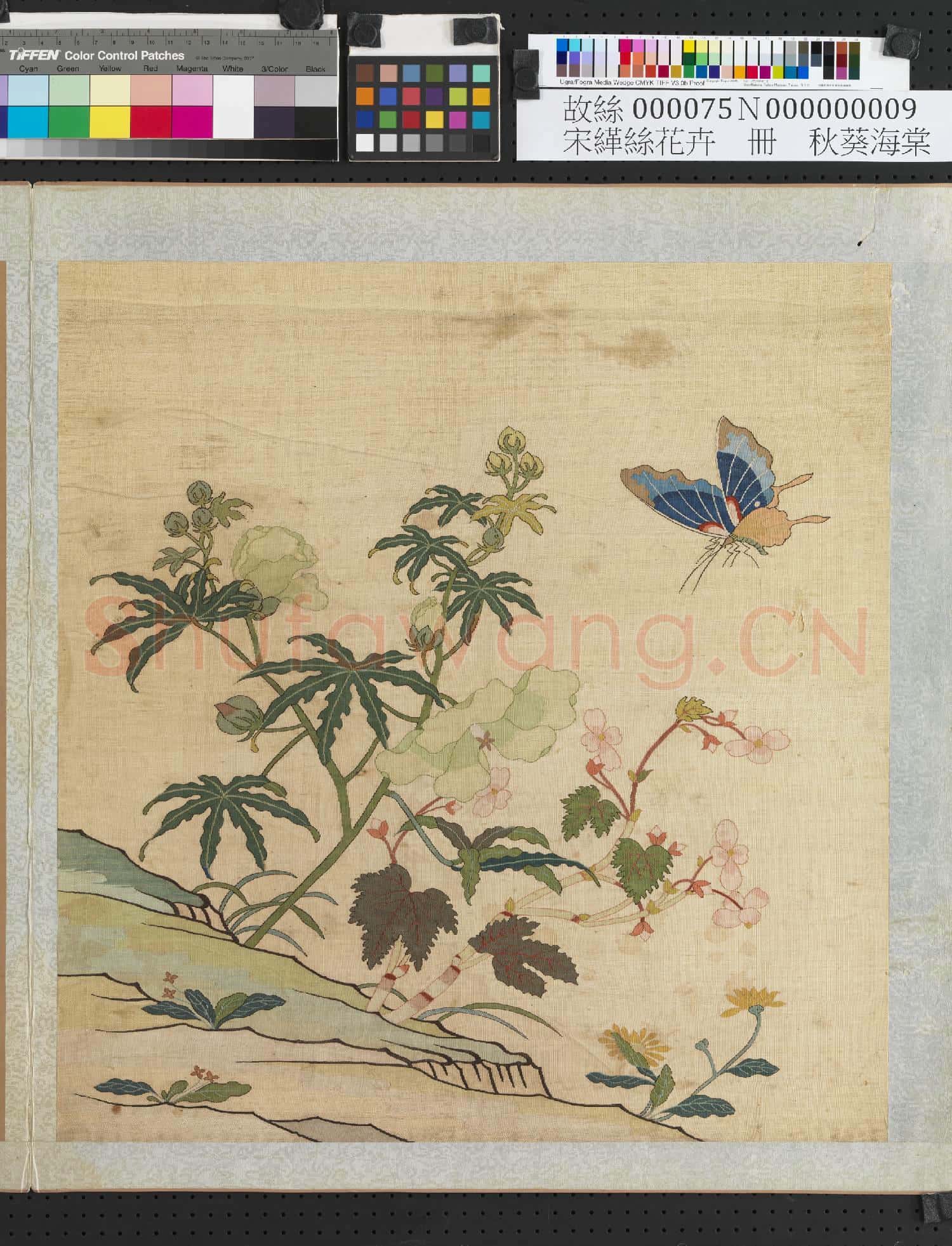 刻絲花卉.冊.秋葵海棠故絲