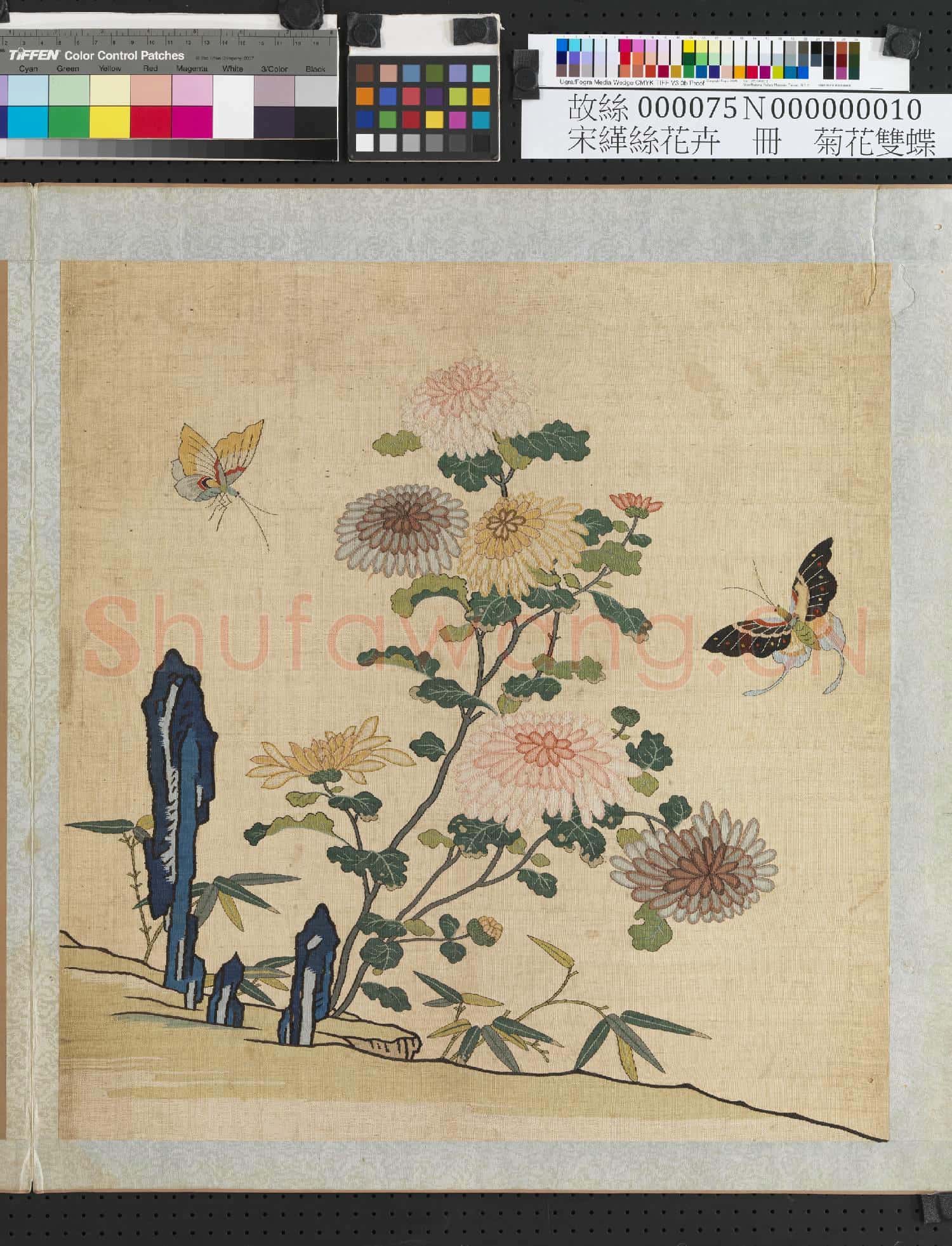 刻絲花卉.冊.菊花雙蝶故絲