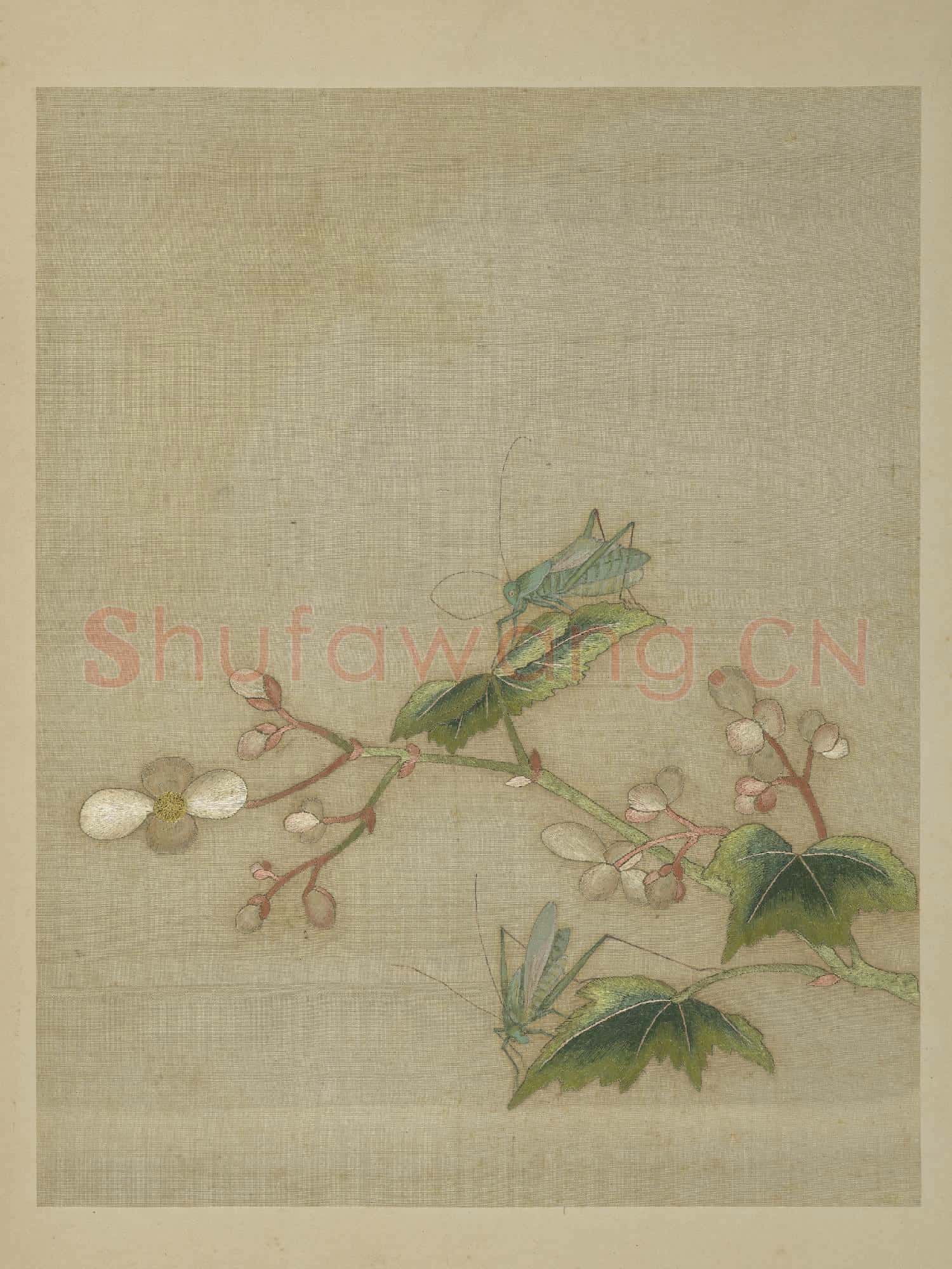 清繡繪花鳥.冊.秋艷鳴蟲故絲