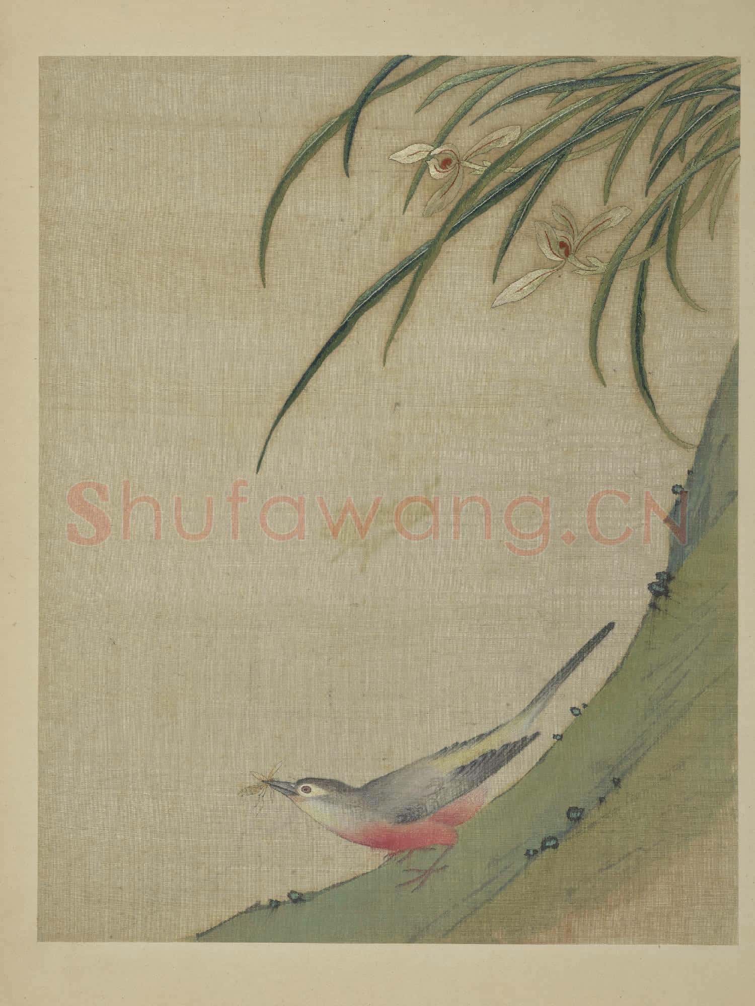 清繡繪花鳥.冊.叢蘭山雀故絲