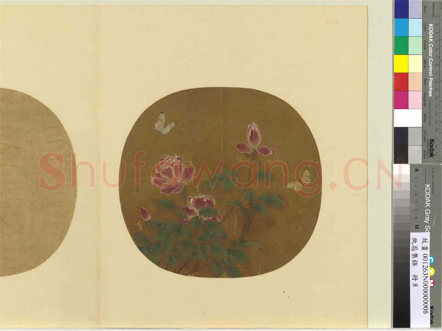紈扇集錦.冊.蝶粉花叢故畫