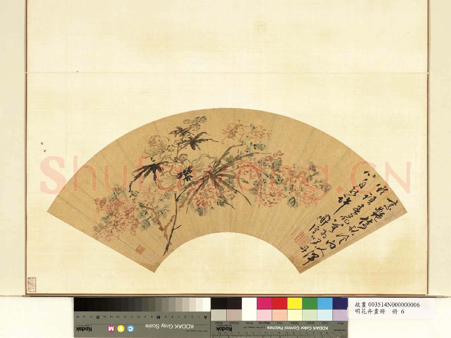 明花卉畫
