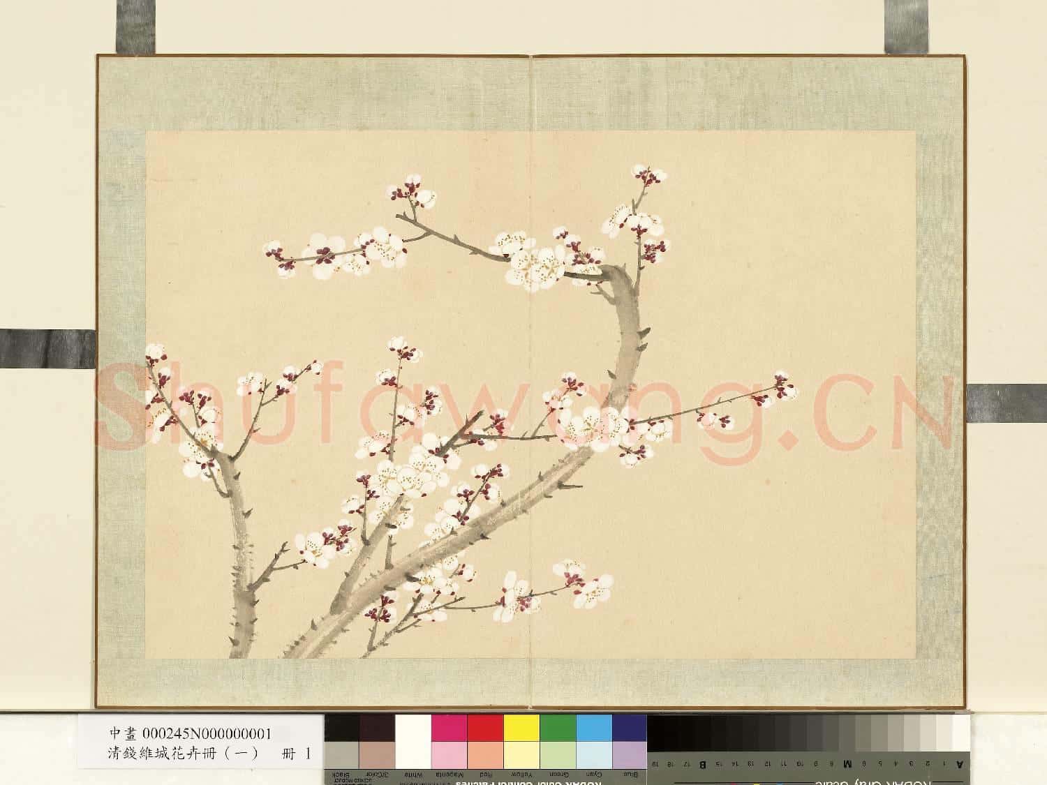 清.錢維城花卉冊(一)冊畫