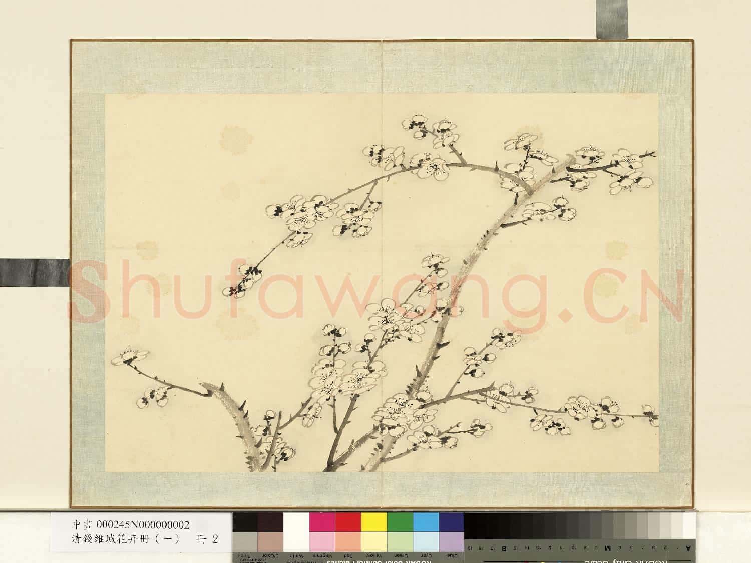 清.錢維城花卉冊(一)冊畫