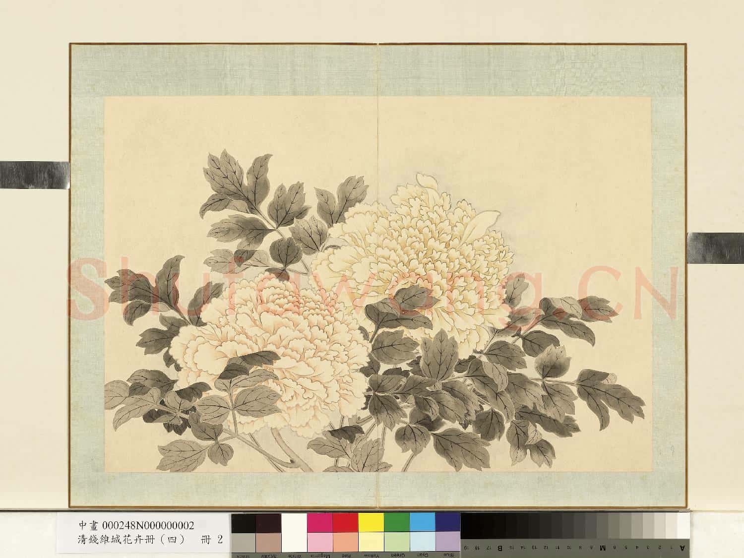 清.錢維城花卉冊(四)冊畫