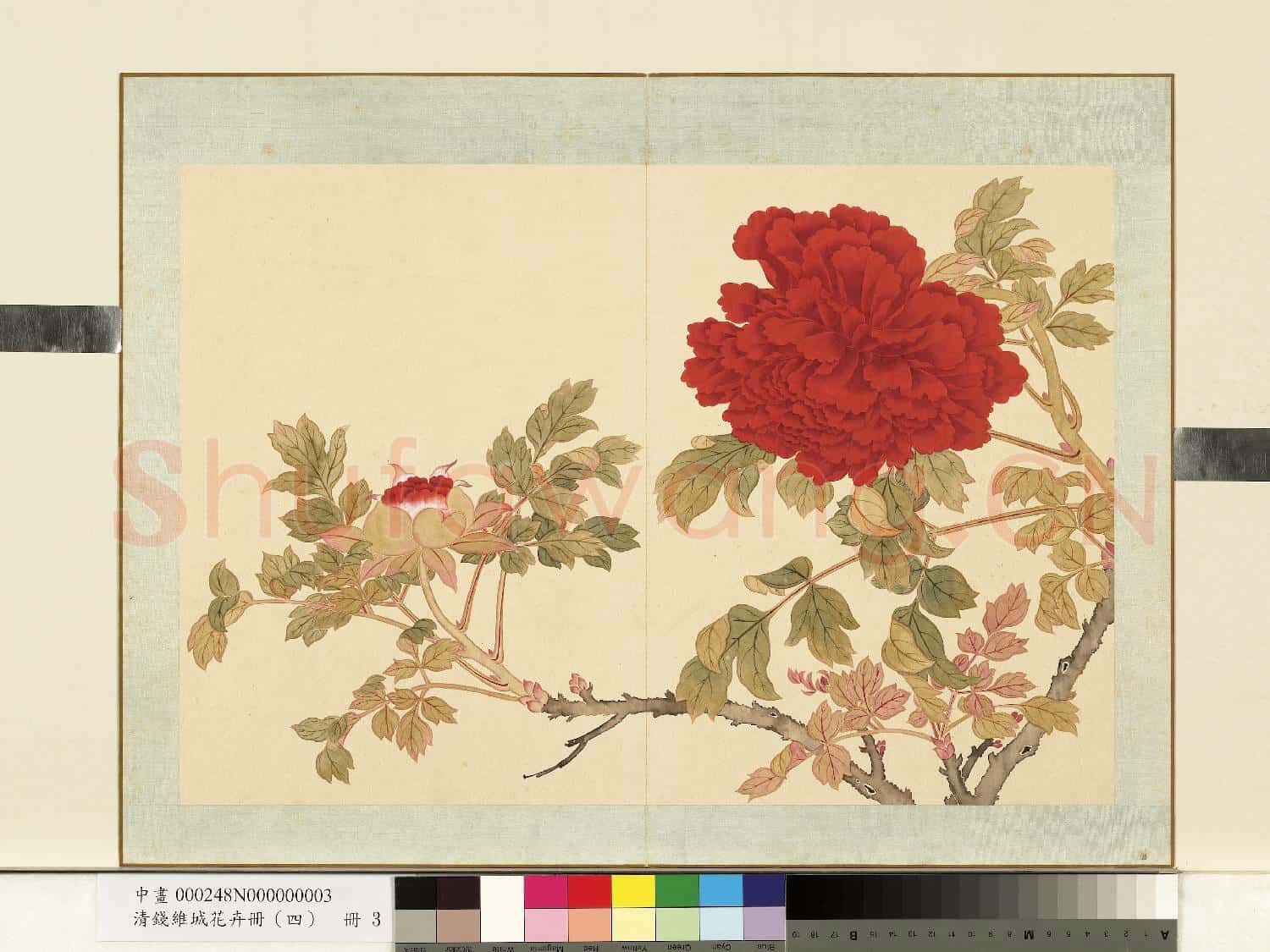 清.錢維城花卉冊(四)冊畫