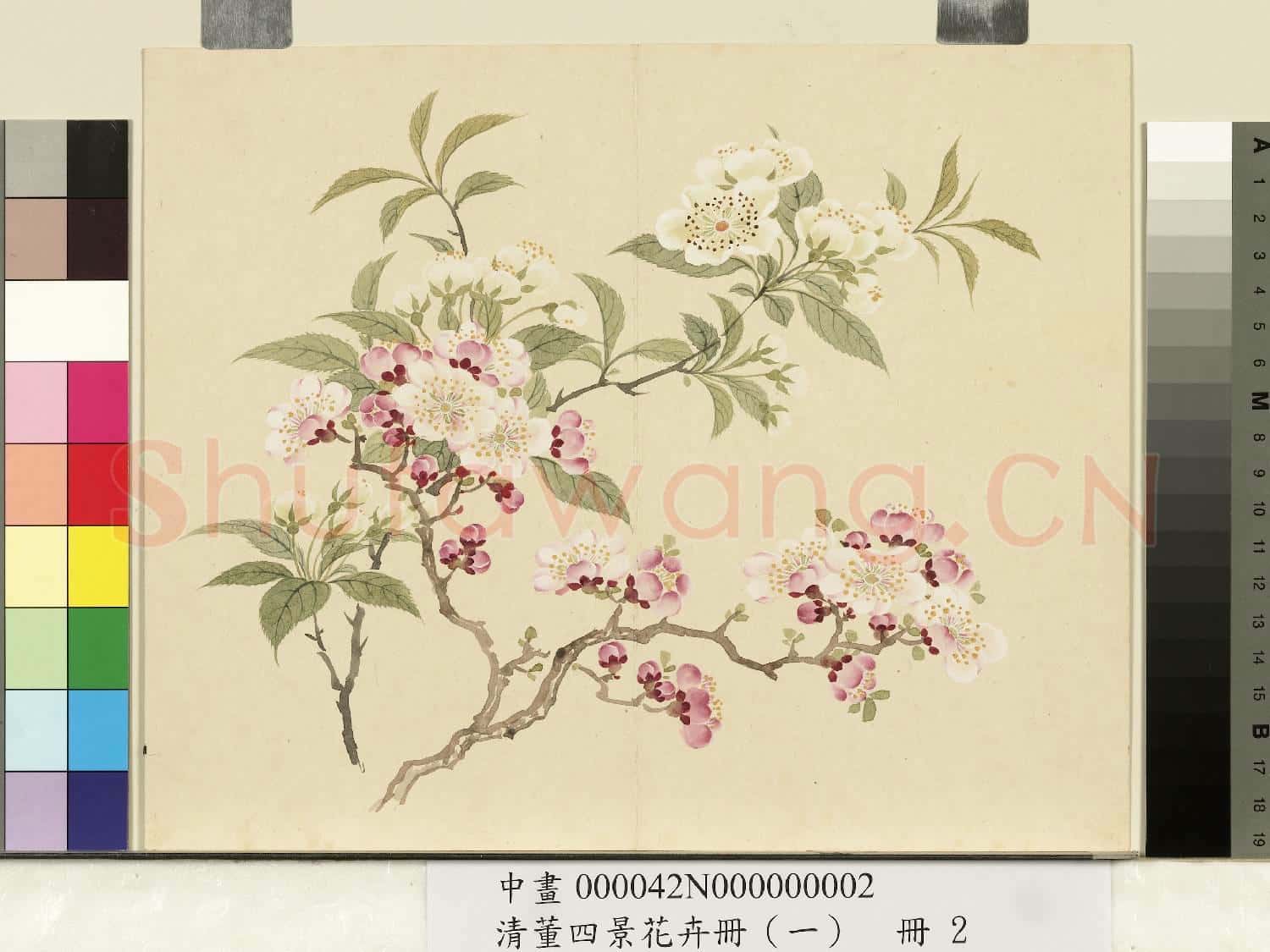 清.董誥四景花卉(一)冊春景花卉之二.中畫
