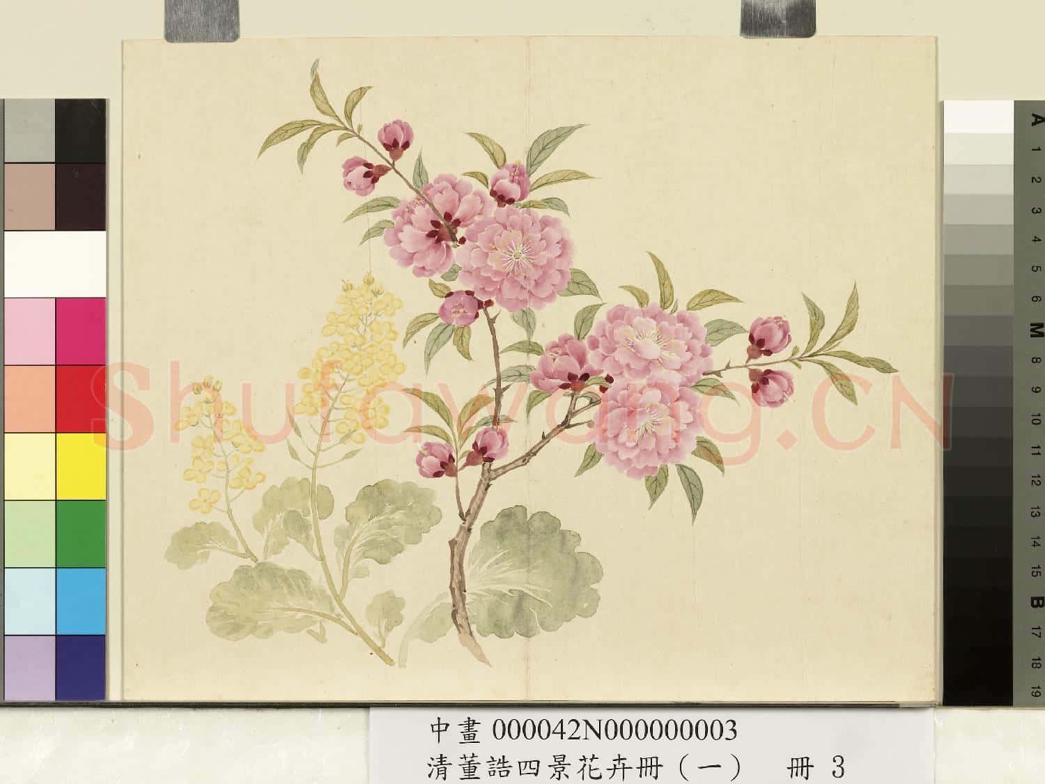 清.董誥四景花卉(一)冊春景花卉之三.中畫