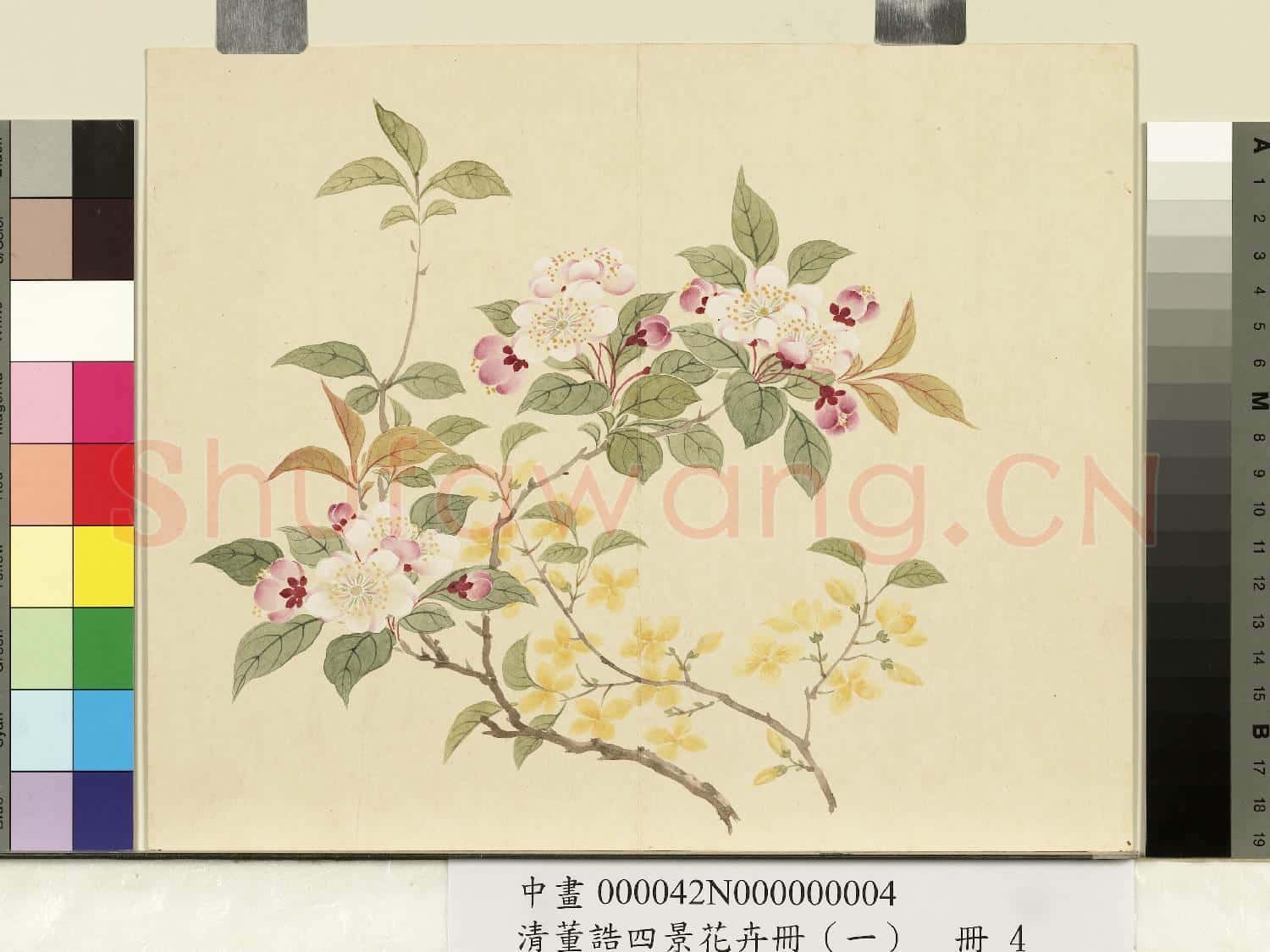 清.董誥四景花卉(一)冊春景花卉之四.中畫