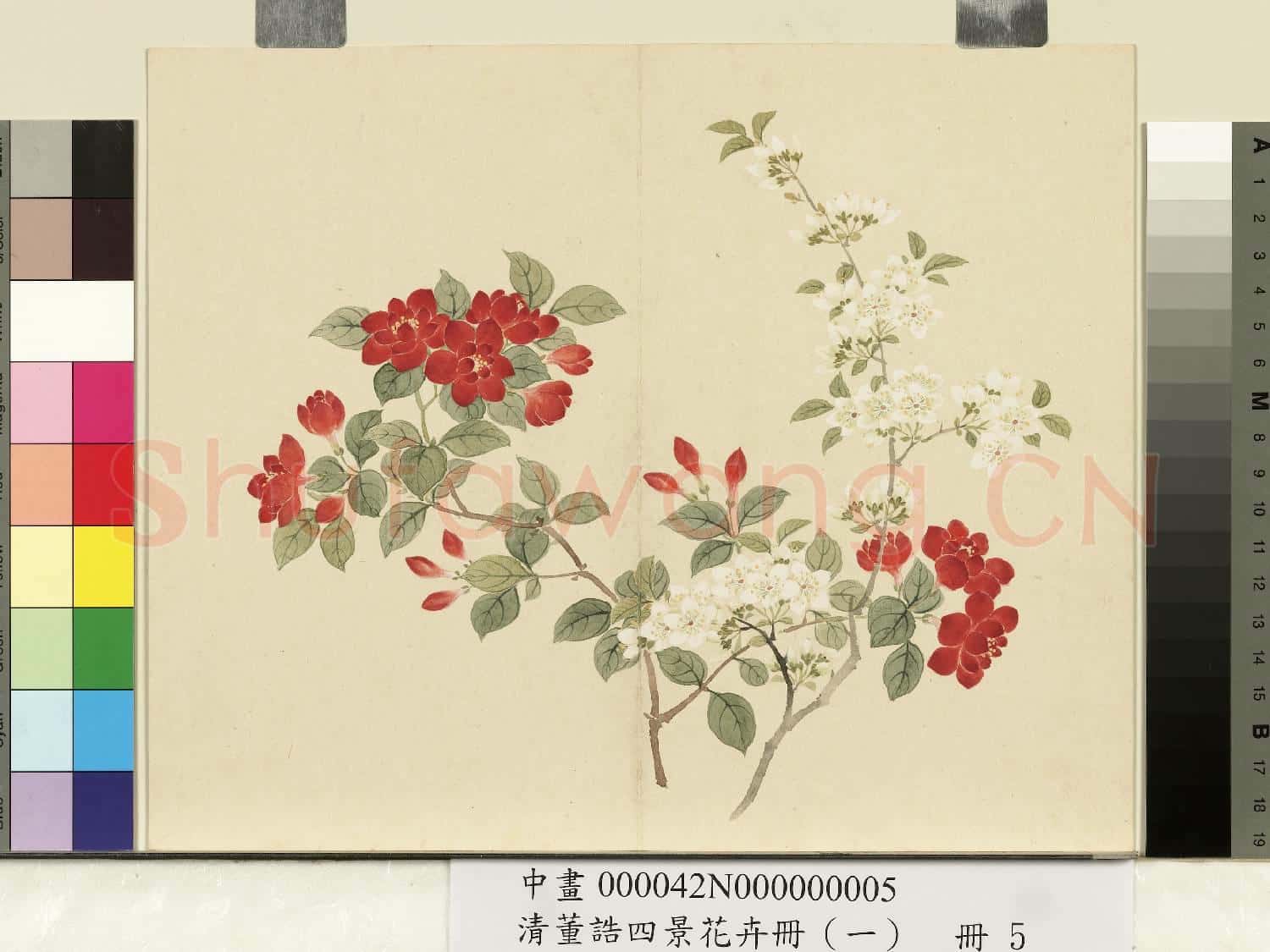 清.董誥四景花卉(一)冊春景花卉之五.中畫