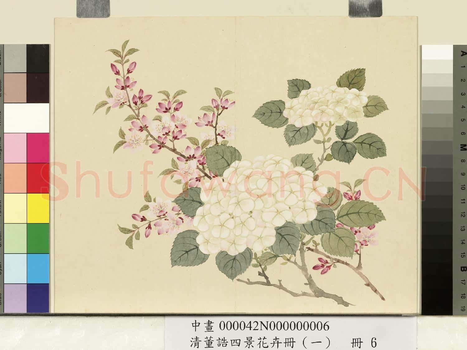 清.董誥四景花卉(一)冊春景花卉之六.中畫
