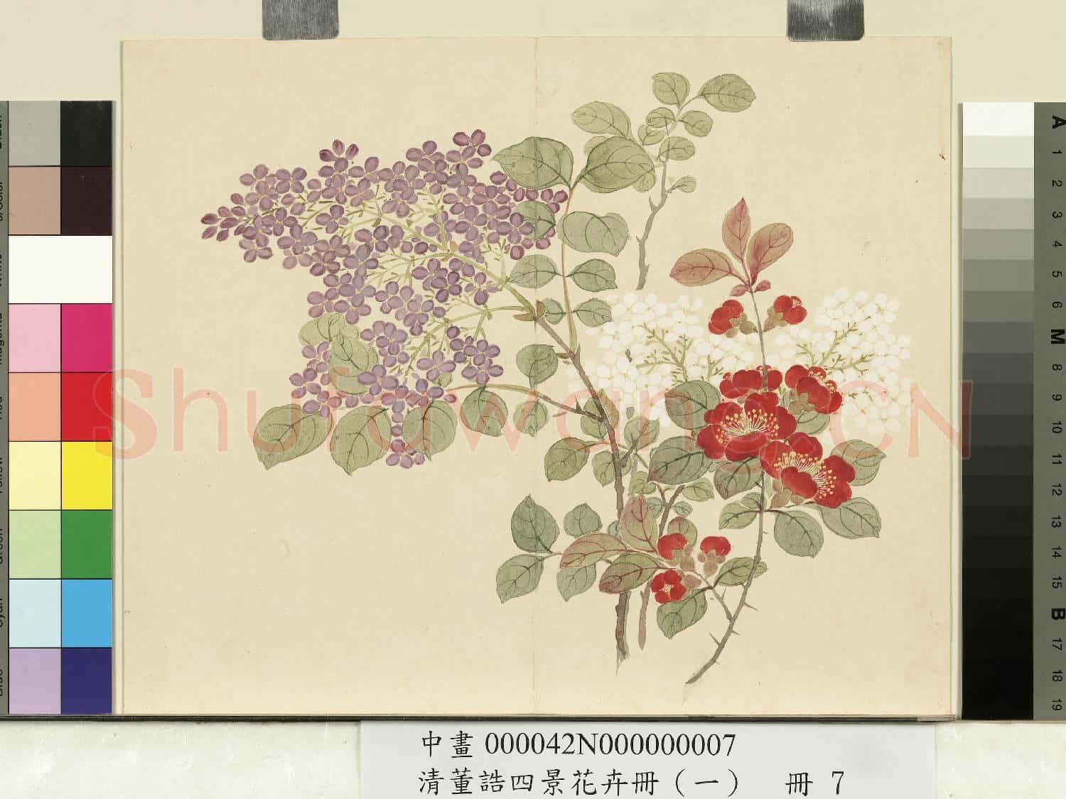 清.董誥四景花卉(一)冊春景花卉之七.中畫