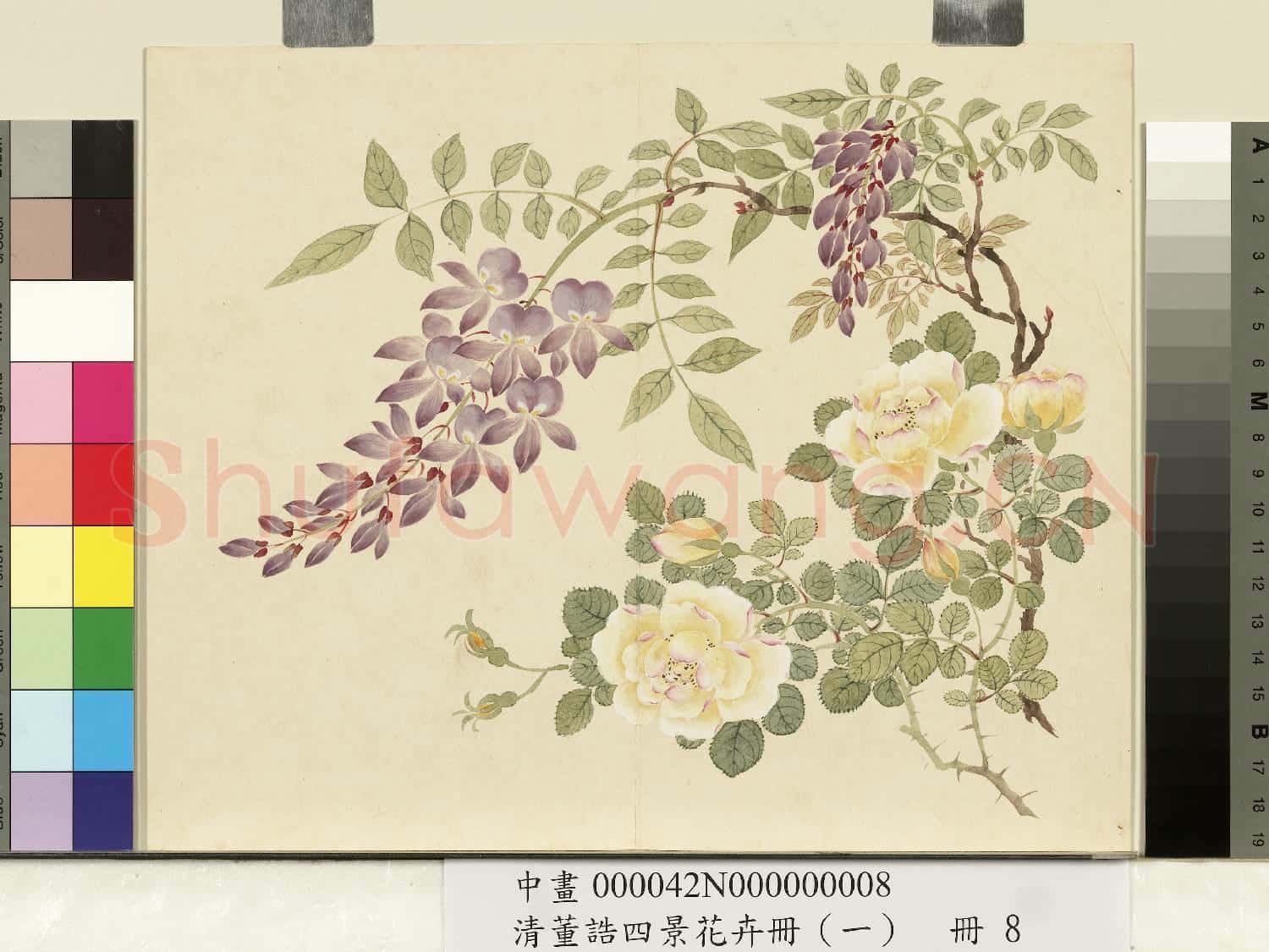 清.董誥四景花卉(一)冊春景花卉之八.中畫