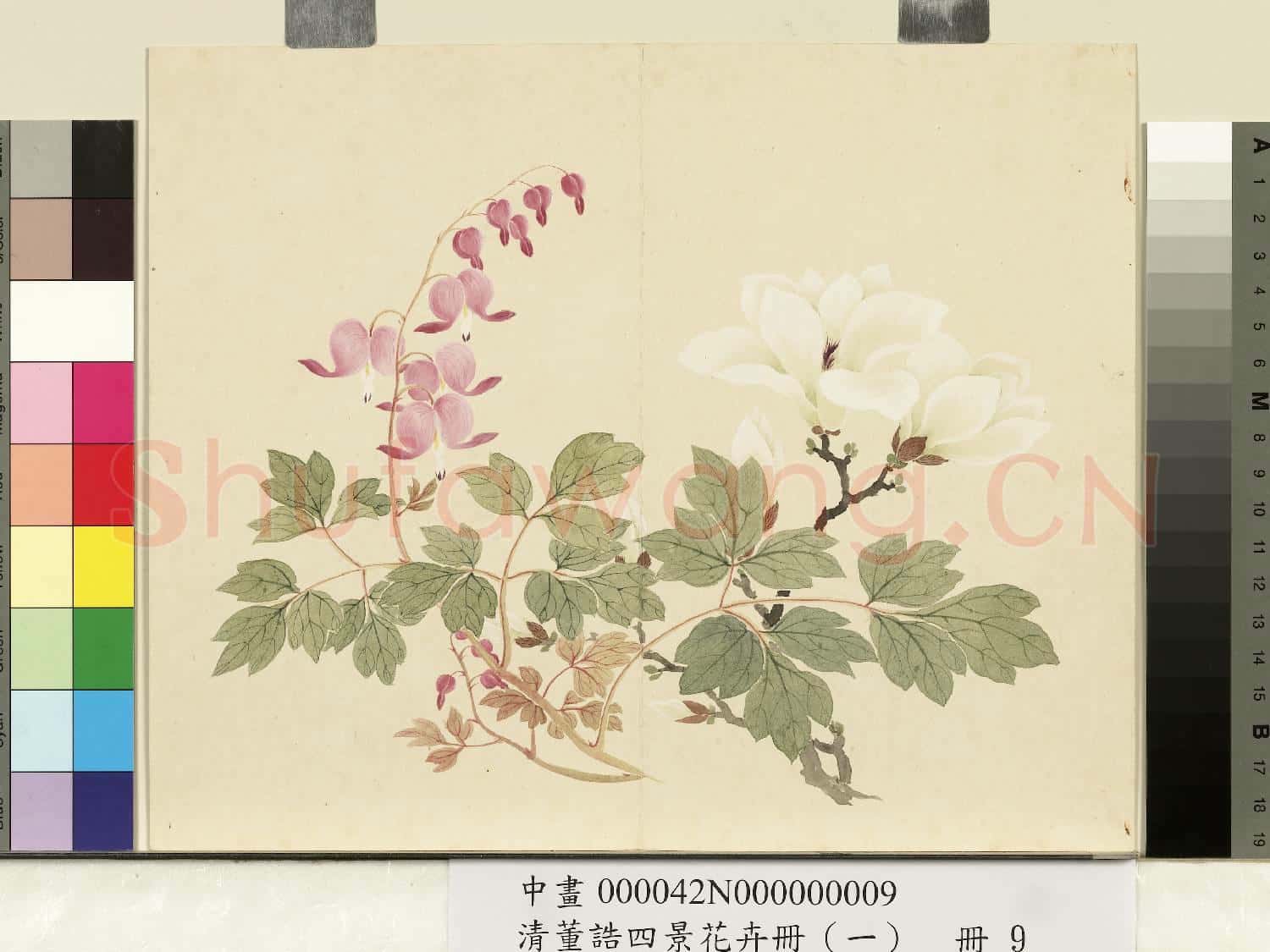 清.董誥四景花卉(一)冊春景花卉之九.中畫