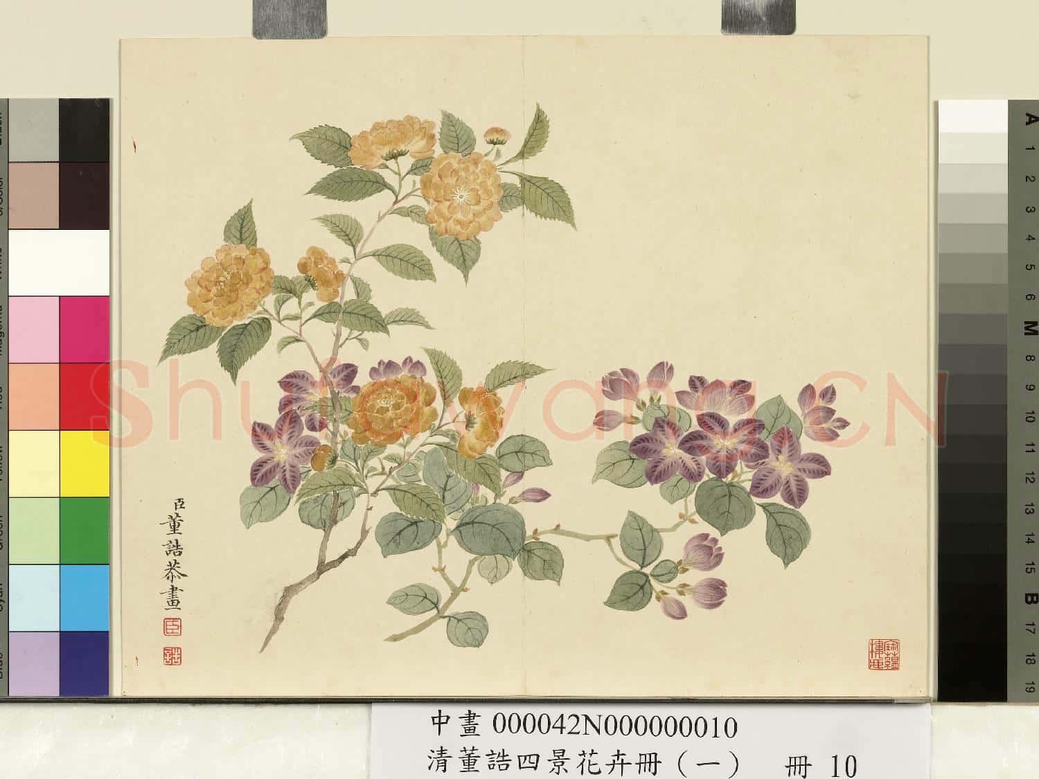 清.董誥四景花卉(一)冊春景花卉之十.中畫